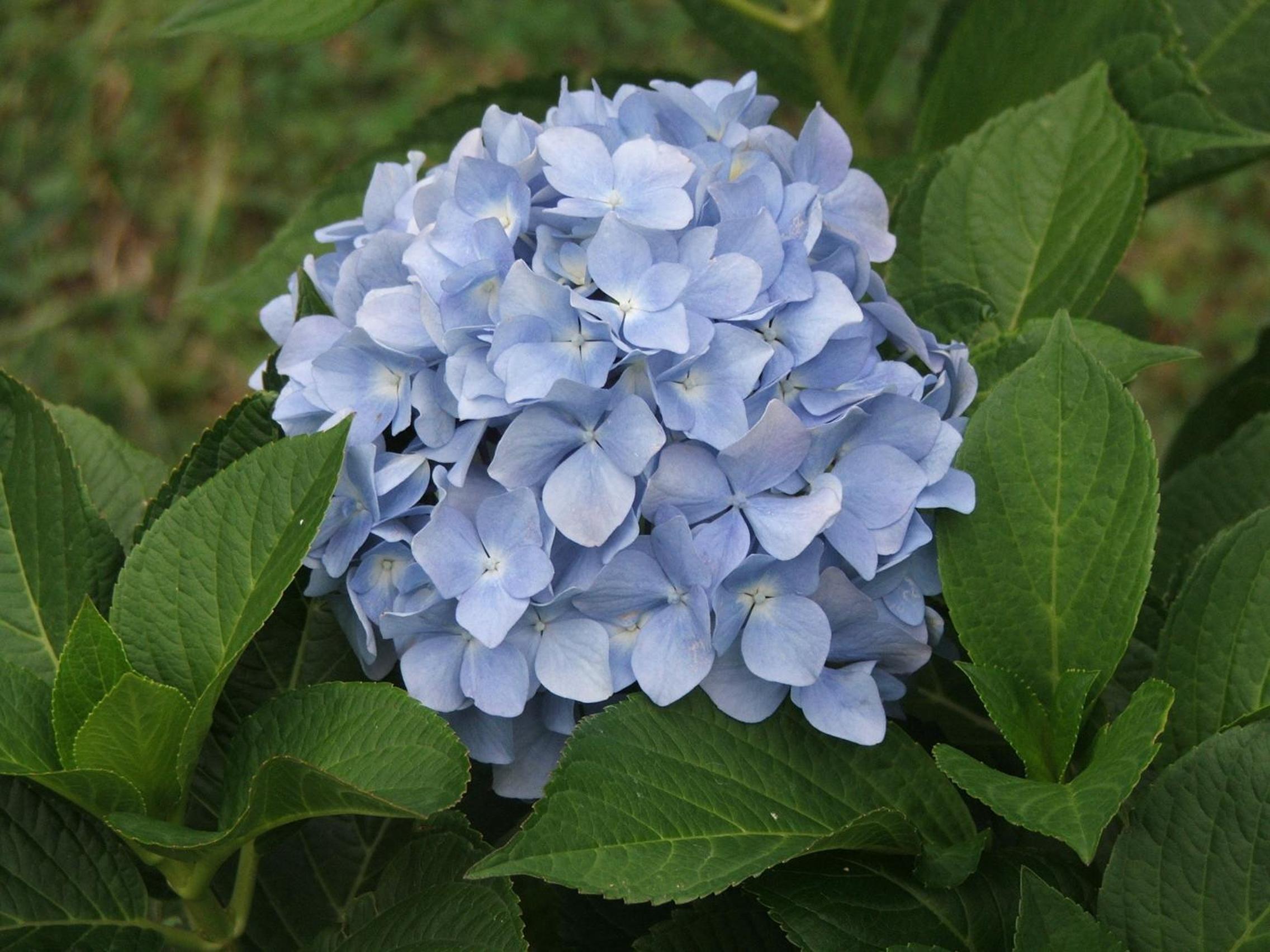 Photo 35
