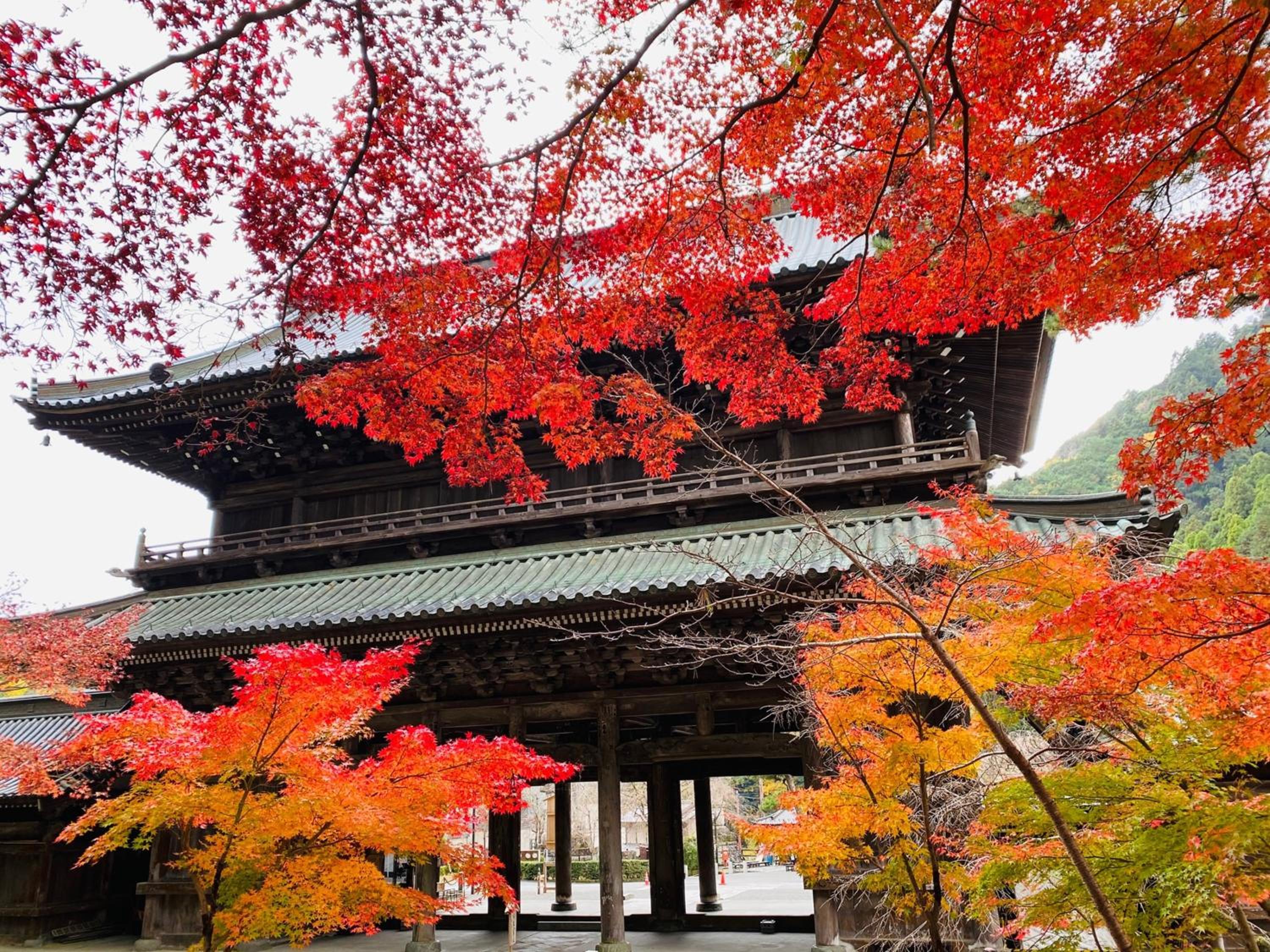Ryokan TANAKAYA