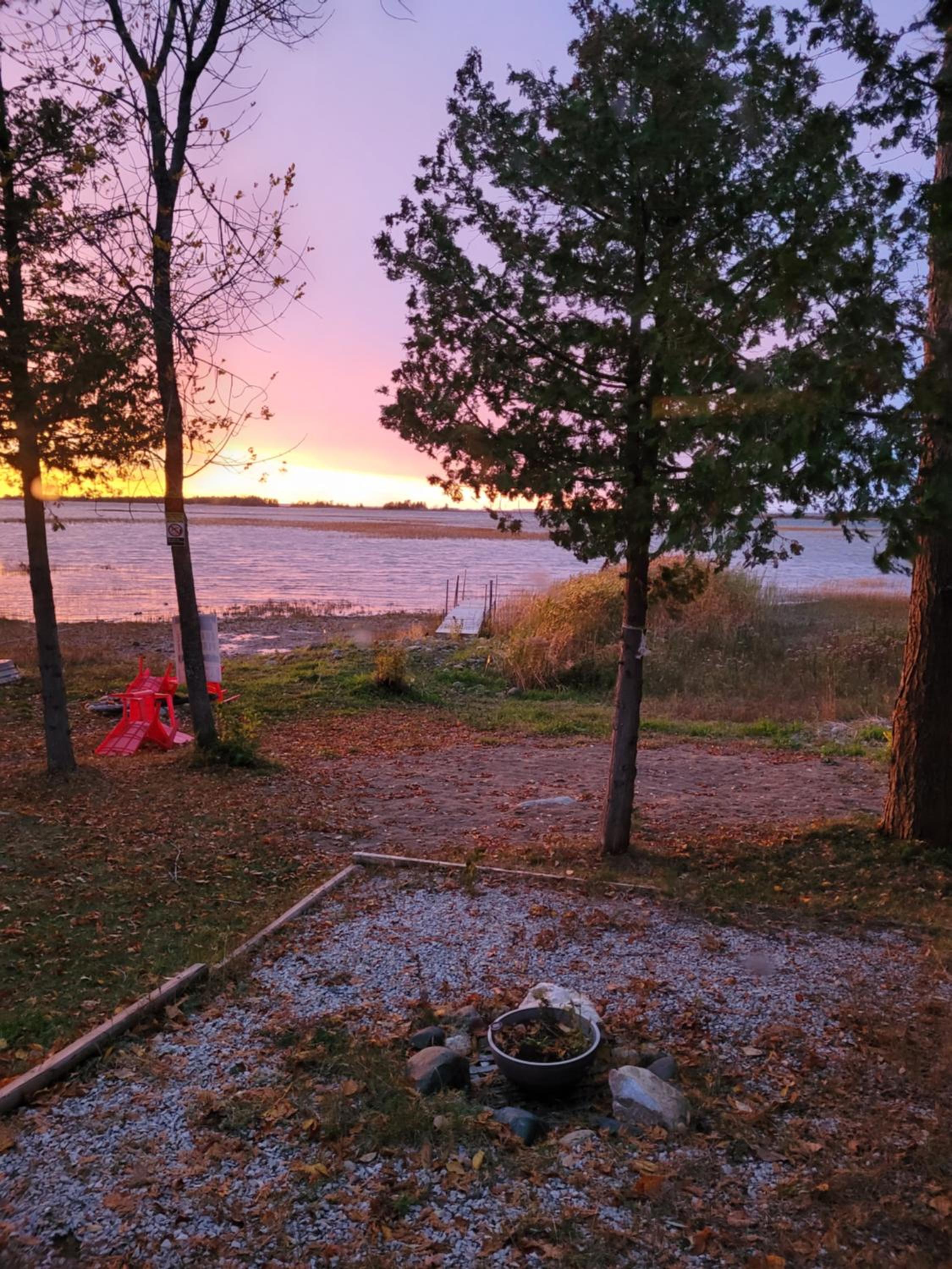 The Cove