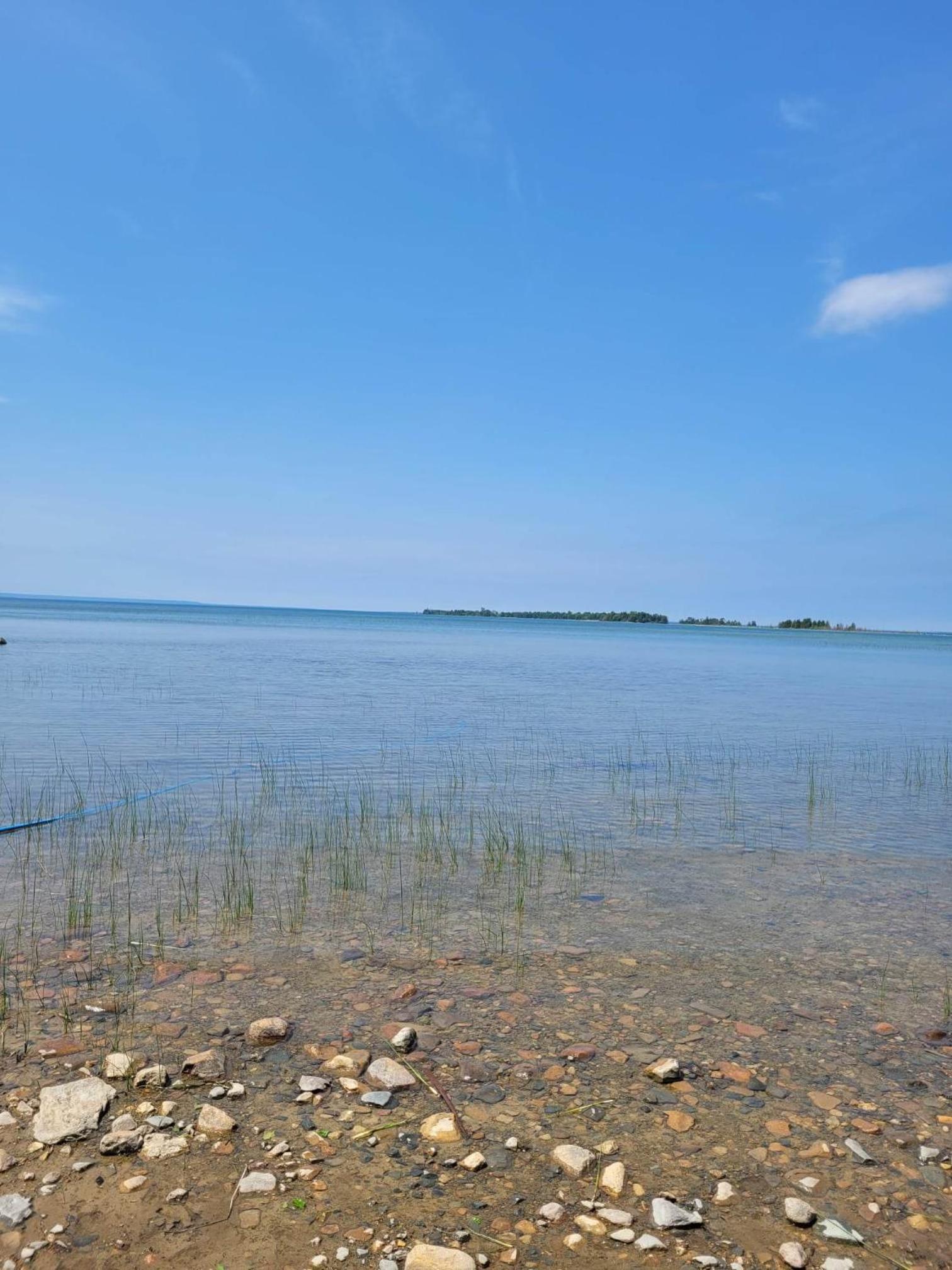 The Cove