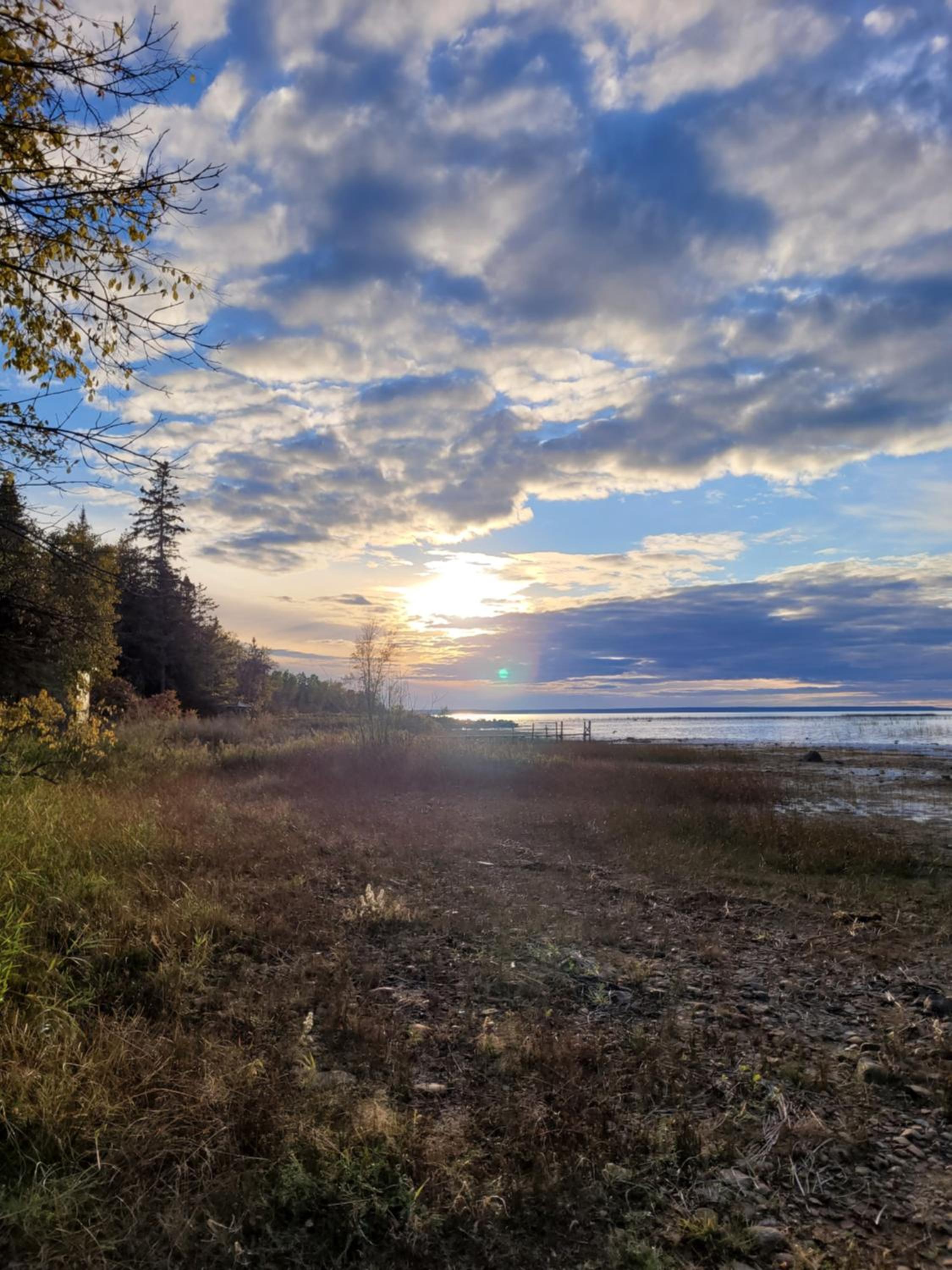 The Cove
