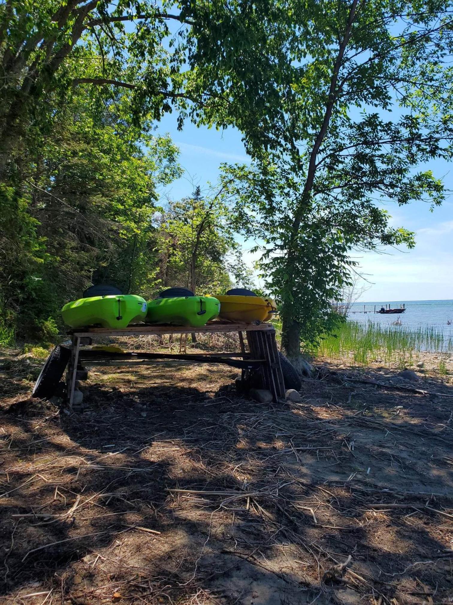 The Cove