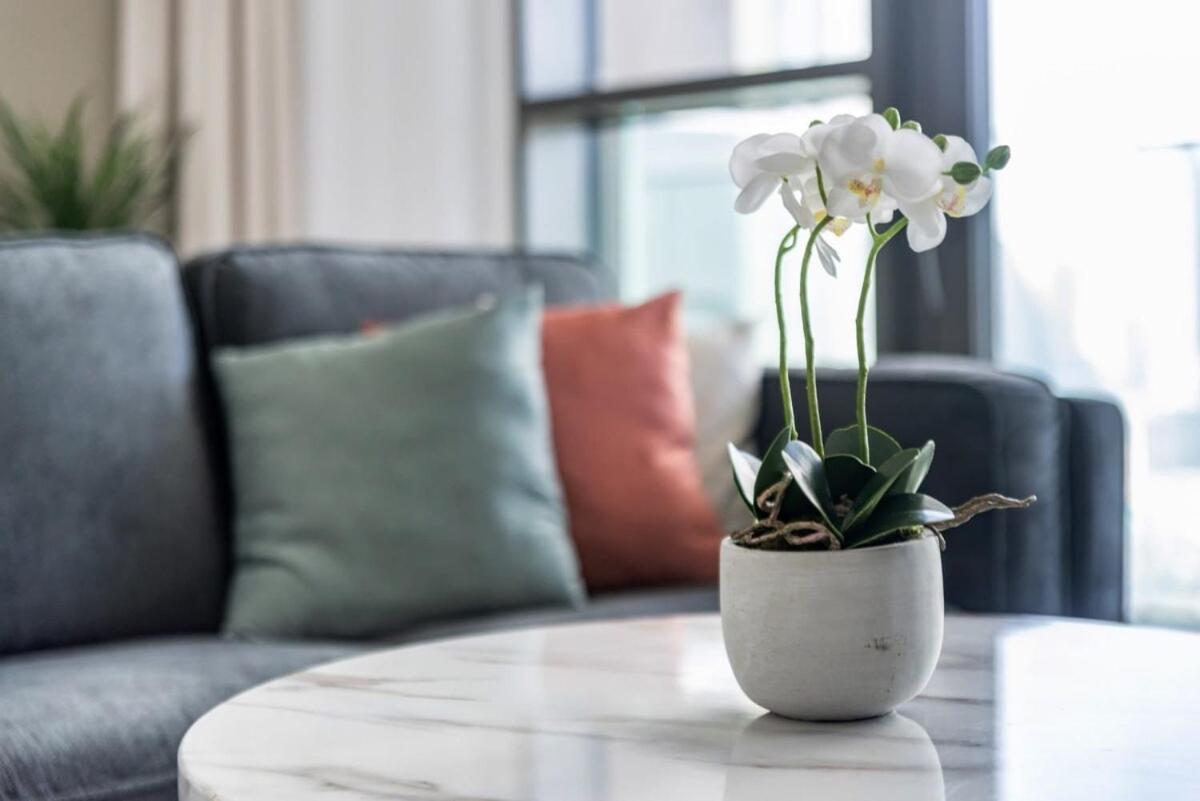 Silkhaus luxury building high floor 1BDR in Downtown