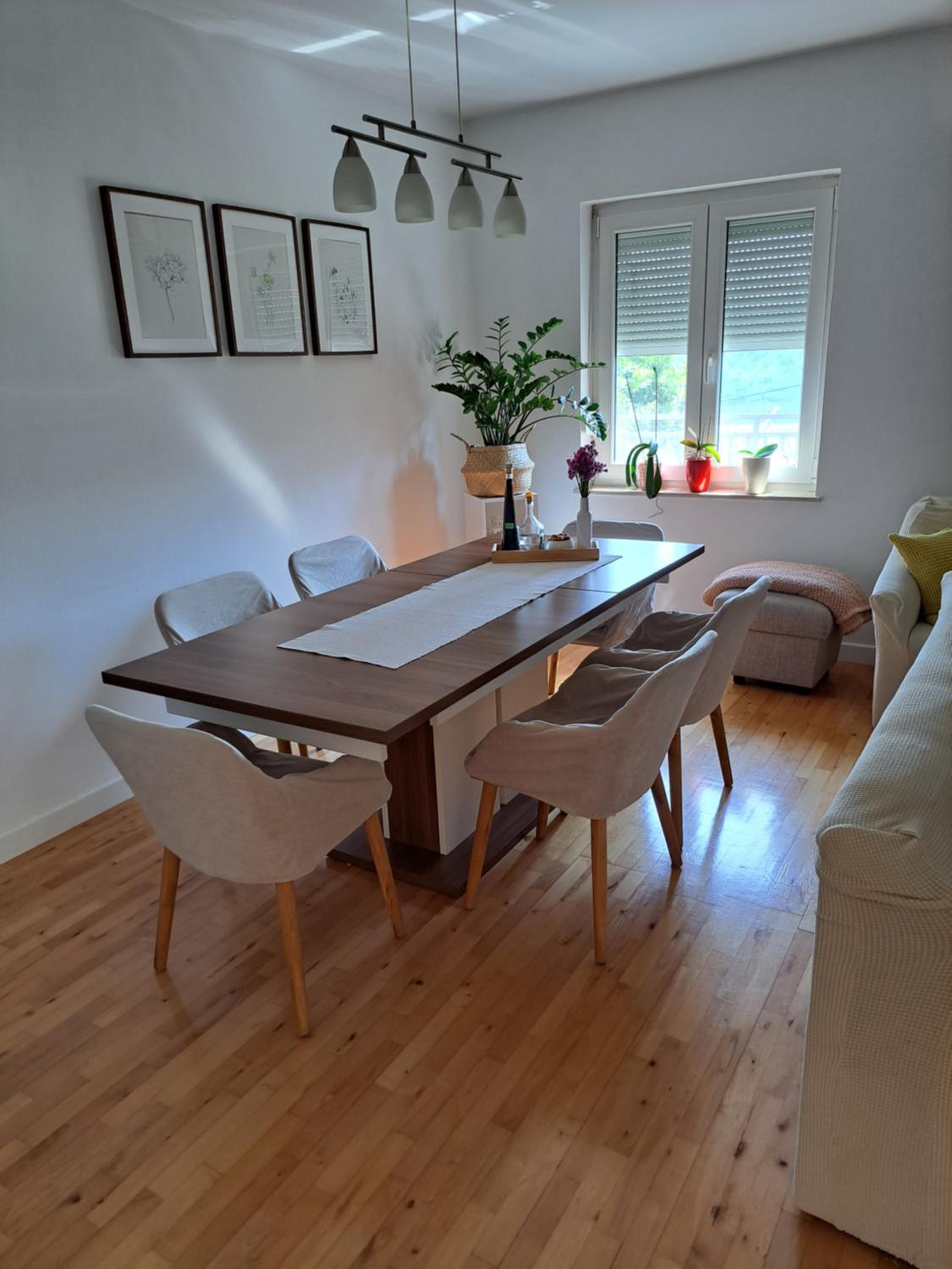 Stella view 5