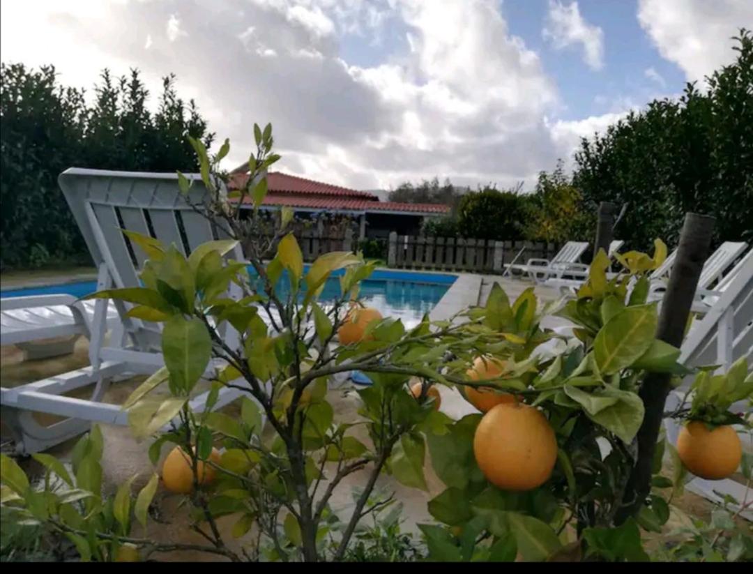 Casa Antigo Alambique