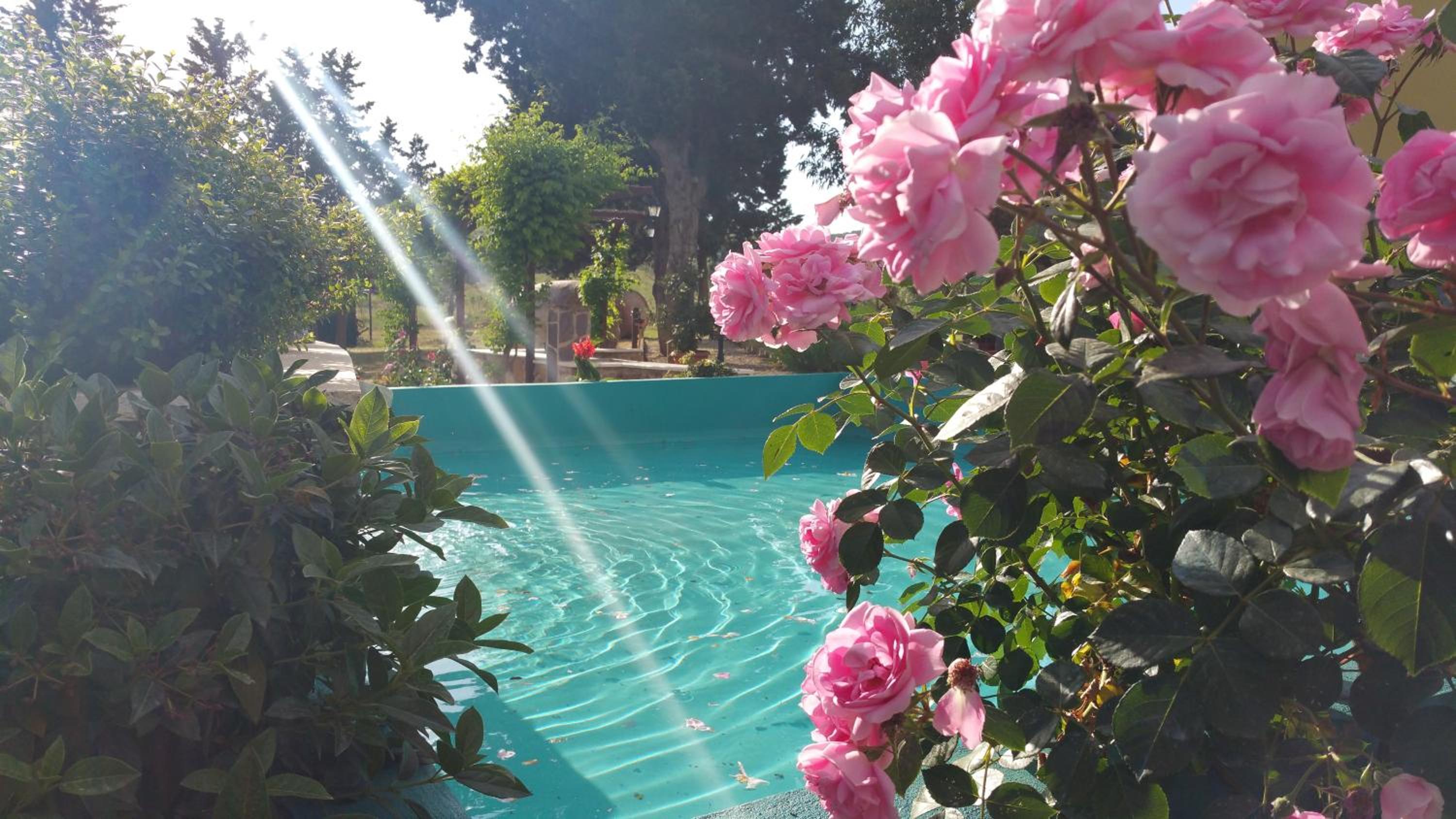 Agriturismo La Dolce Collina