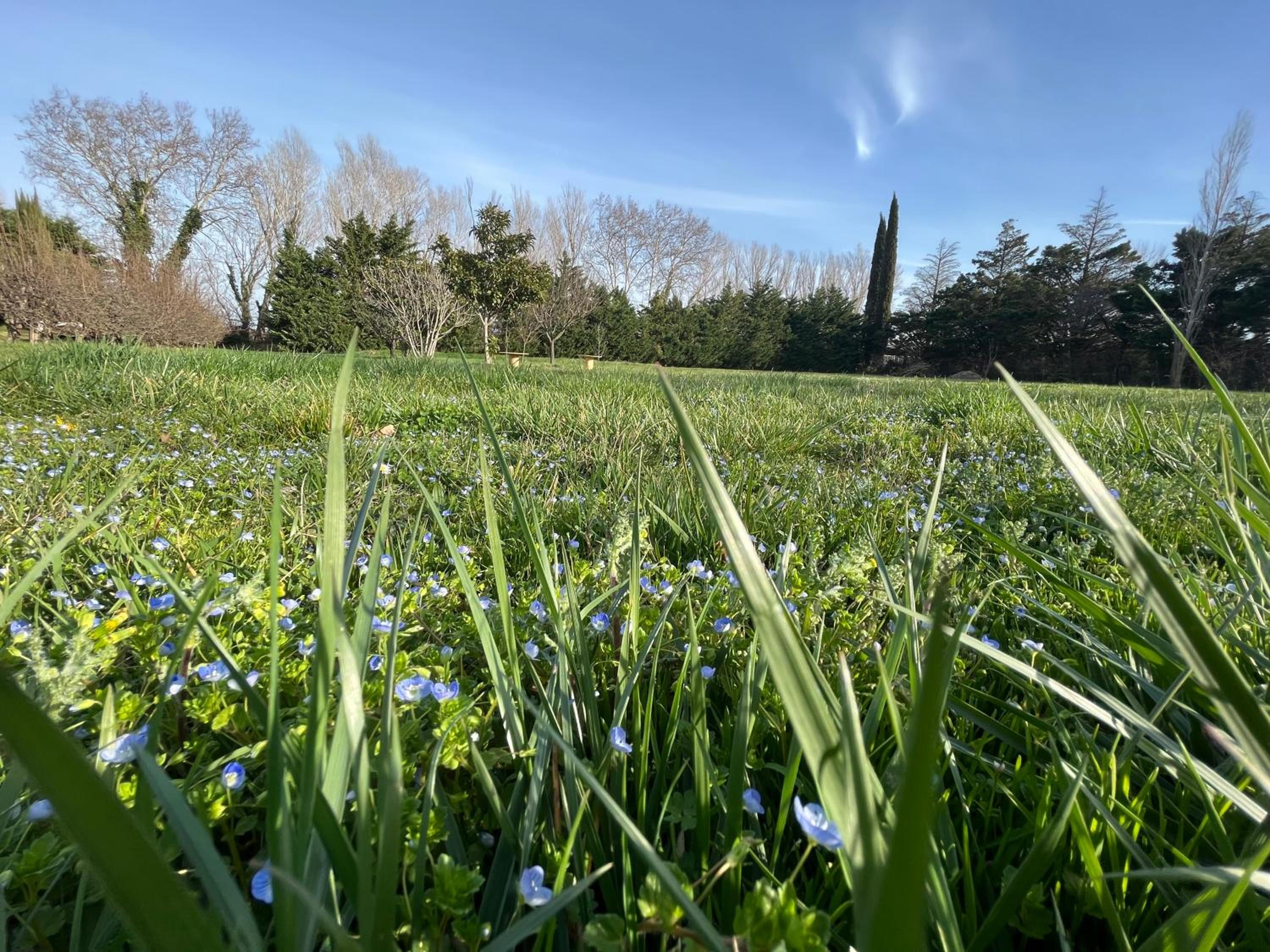 Les Jardins du Soleil