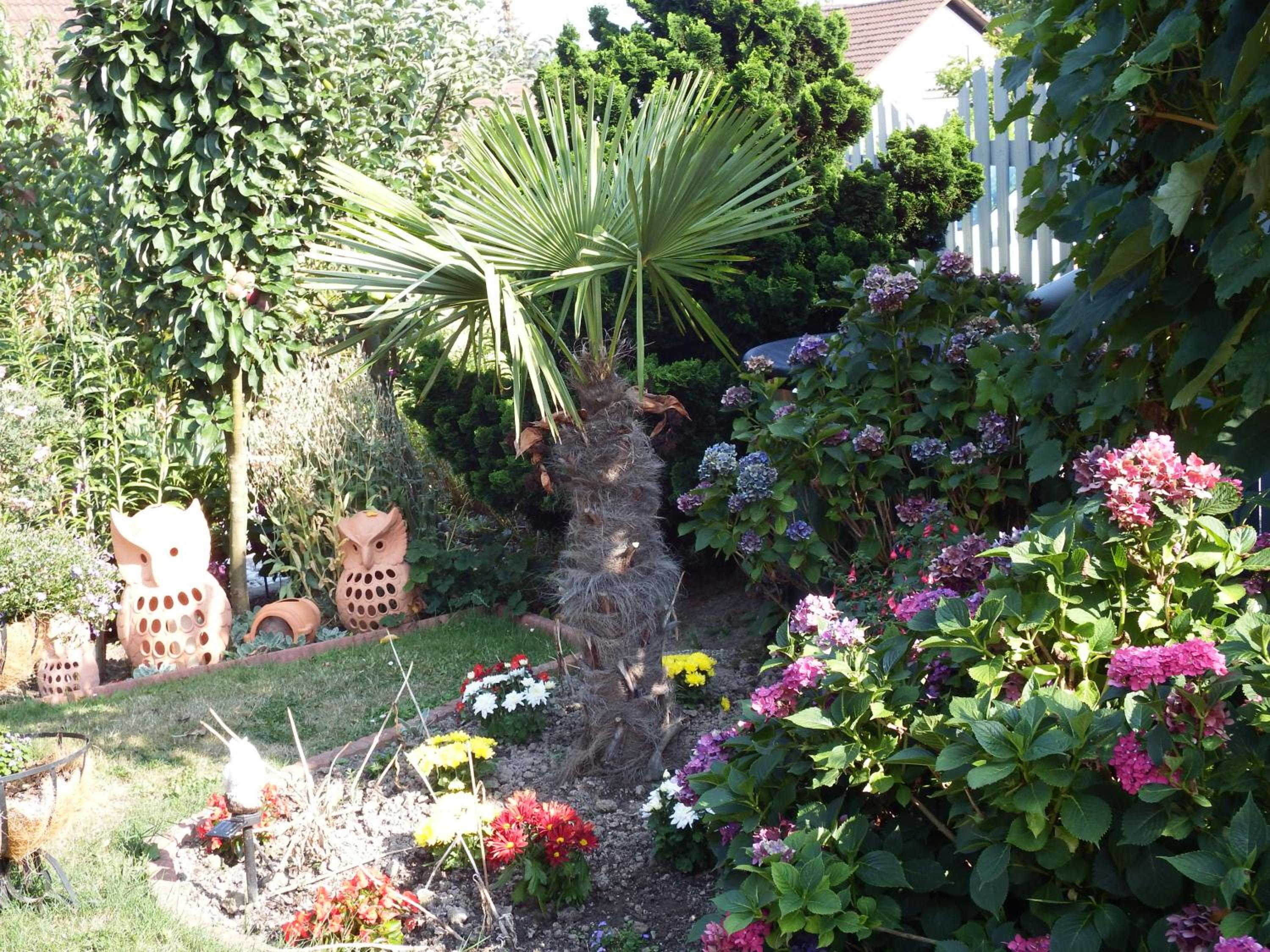 Photo 15