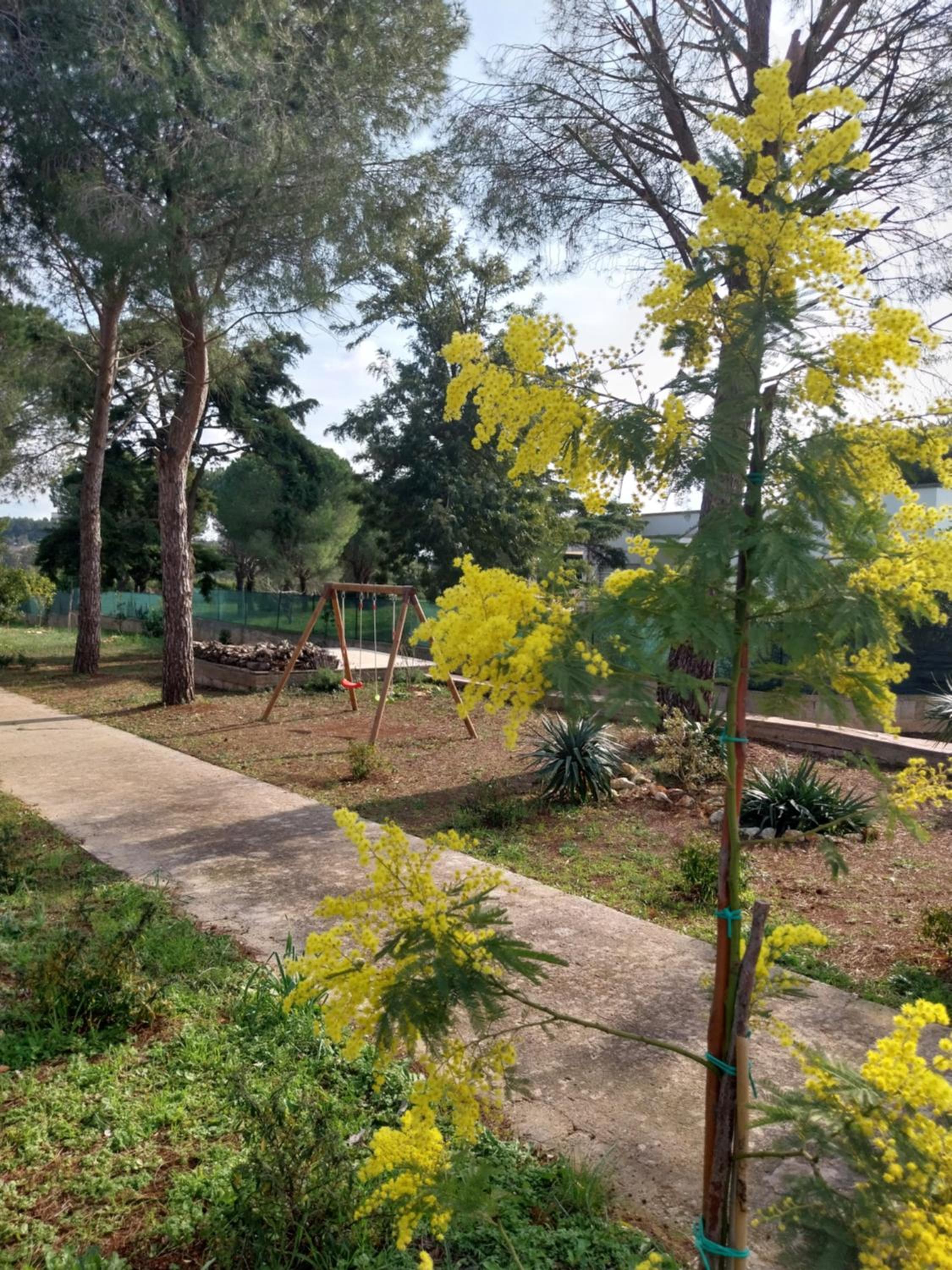 Al Pineto San Matteo photo 2
