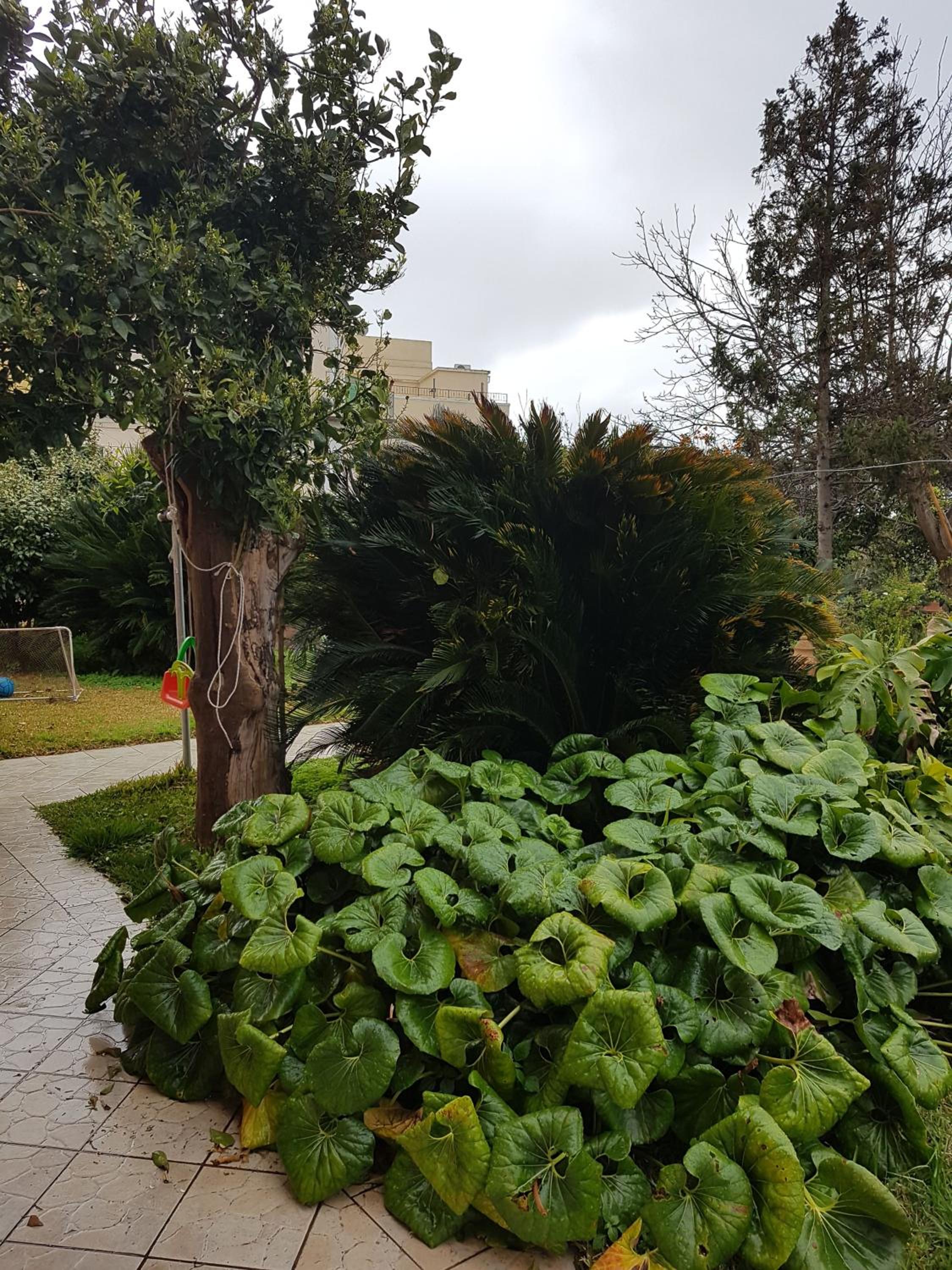 procidabella photo 3