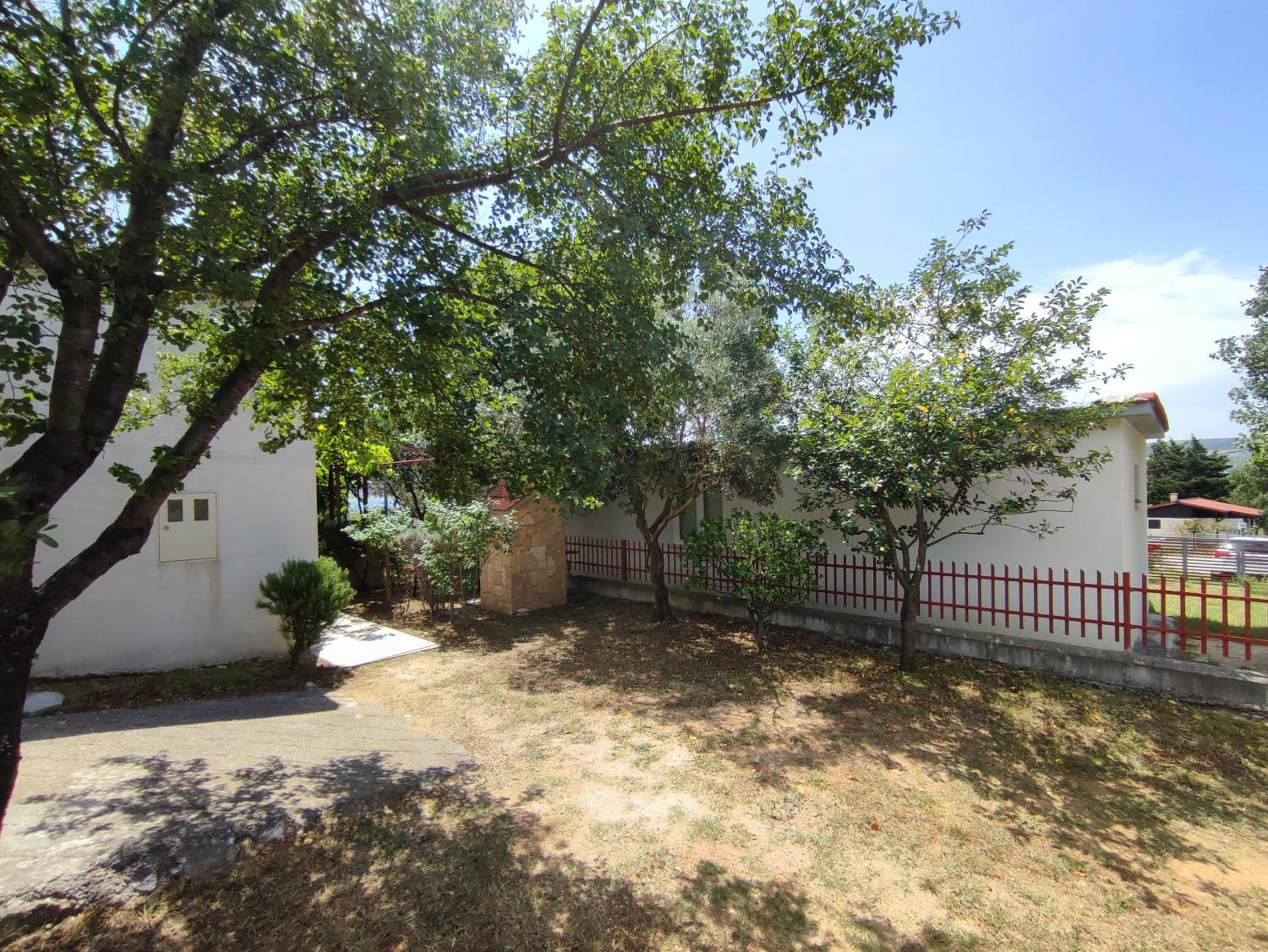 Photo 49