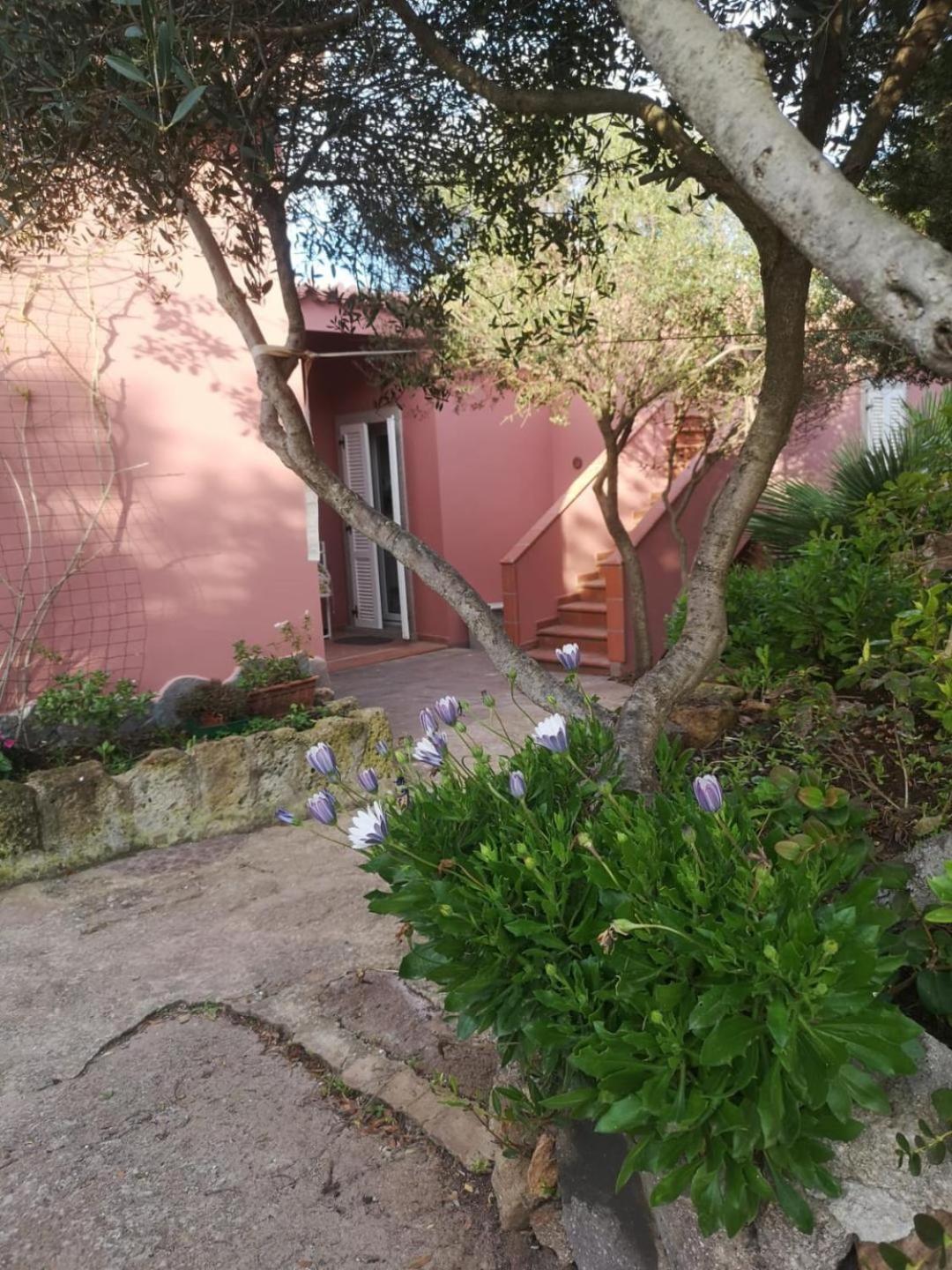 B&B Domus Oriens - monolocale indipendente in villa