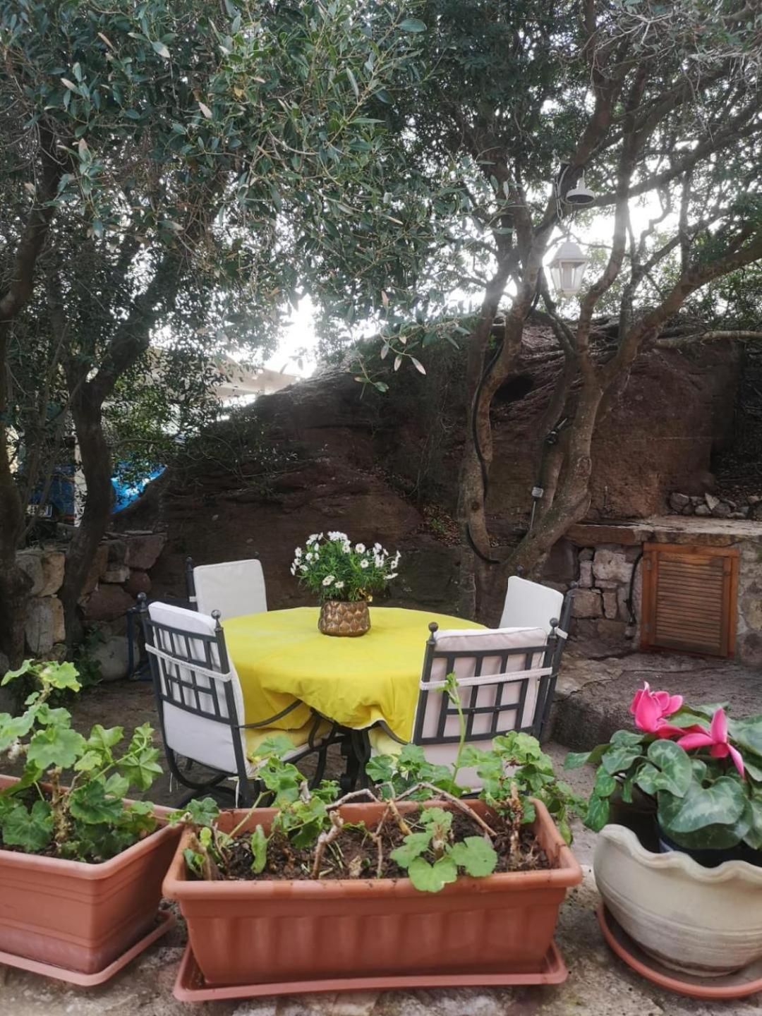 B&B Domus Oriens - monolocale indipendente in villa