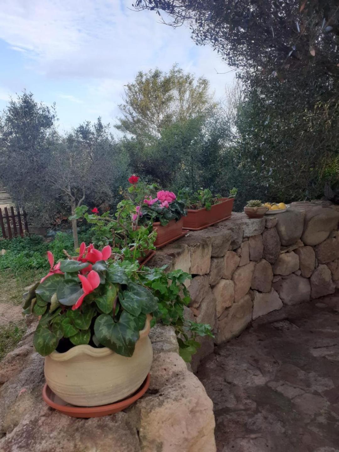 B&B Domus Oriens - monolocale indipendente in villa
