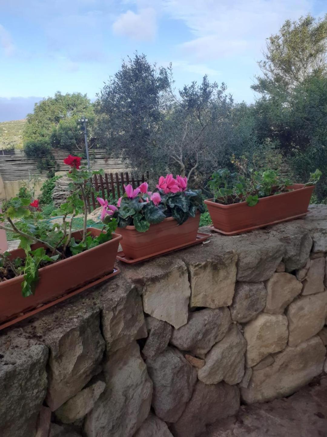 B&B Domus Oriens - monolocale indipendente in villa