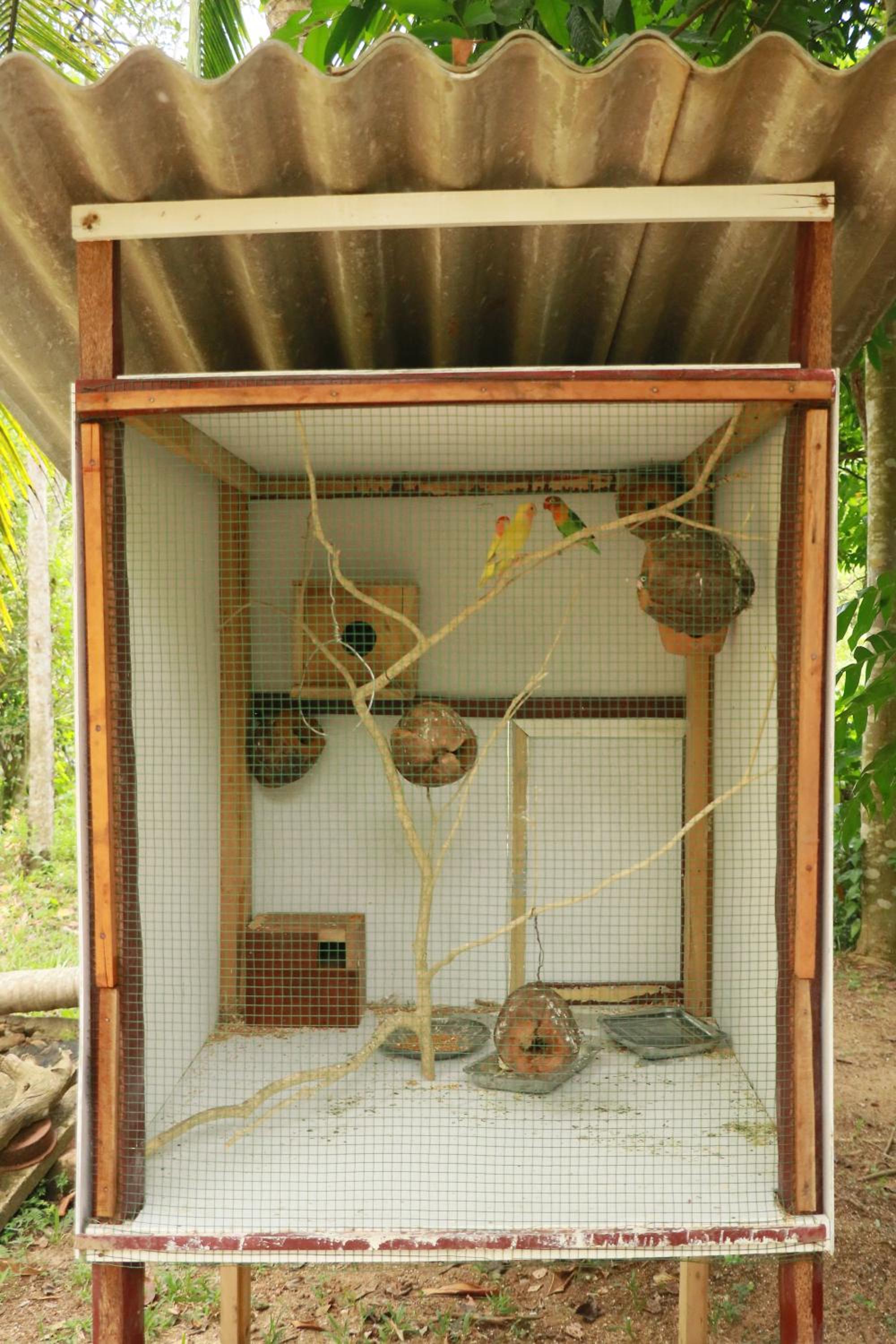 Tea Eco Villa