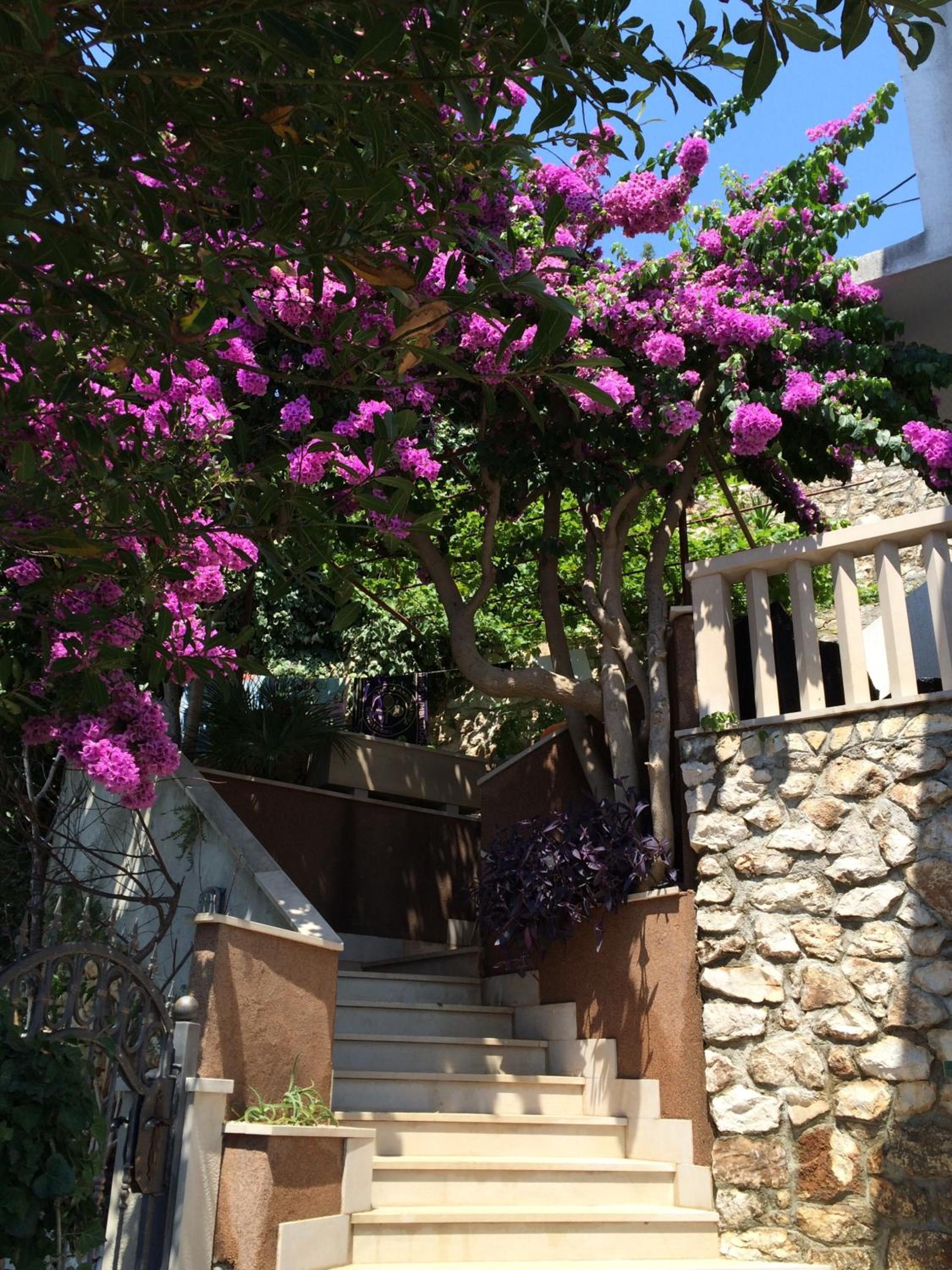 Holiday Home Mala Duba view 5