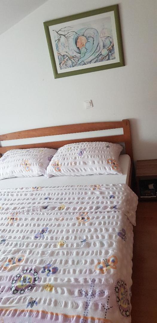 Apartments Vučko
