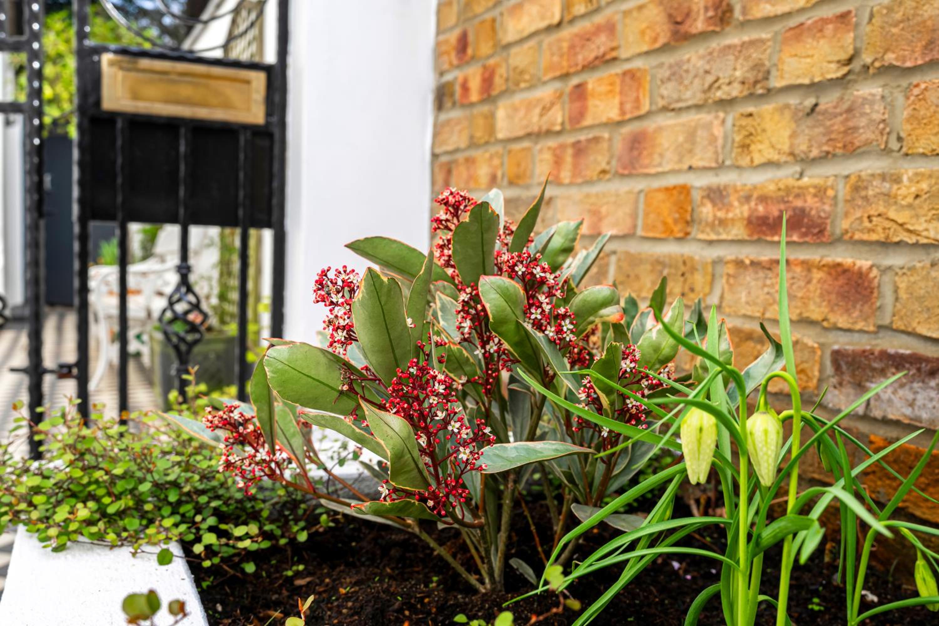 JOIVY Elegant 2 bed near Hampstead and Camden, sleeps 4