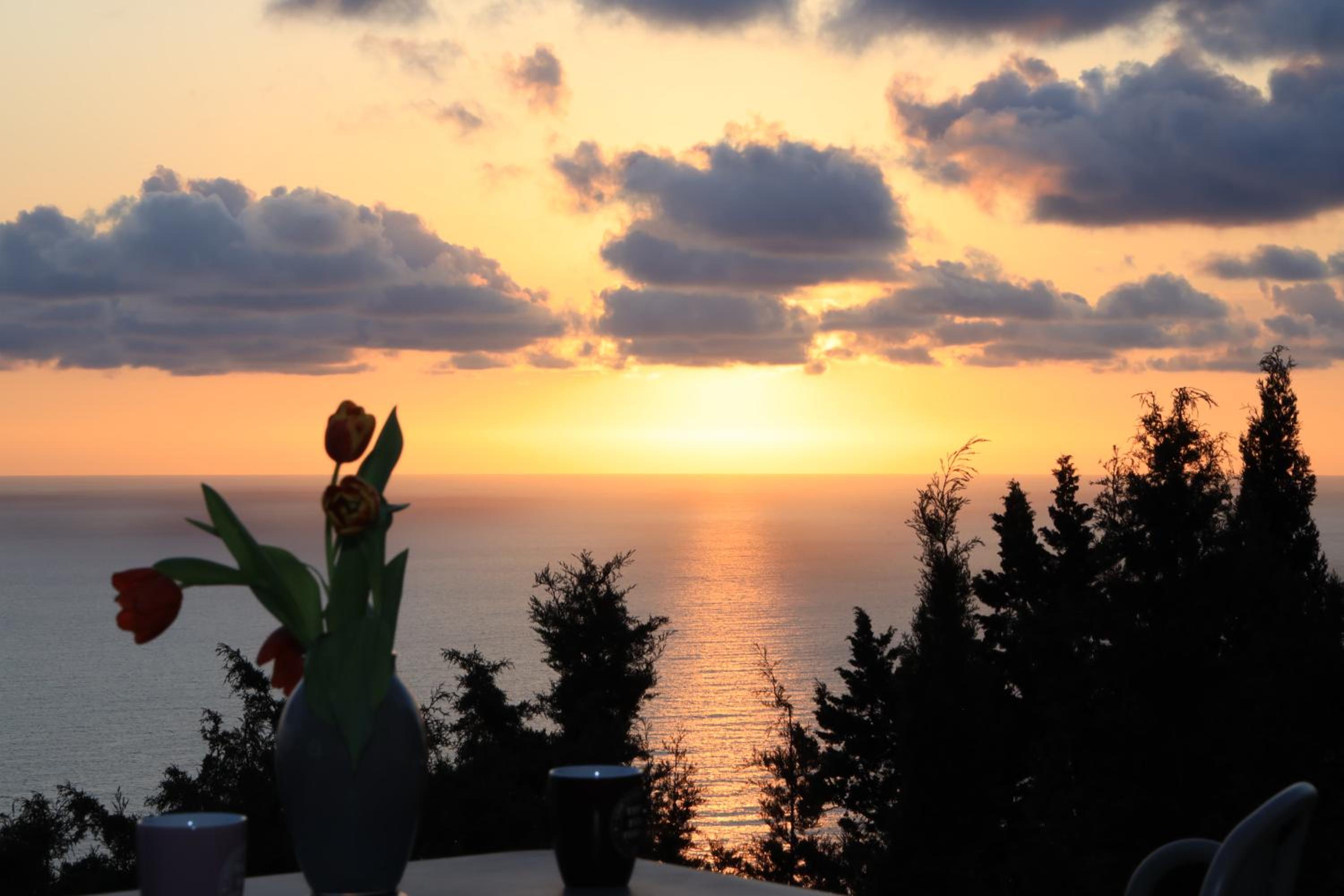 Alibertini Studios view 2