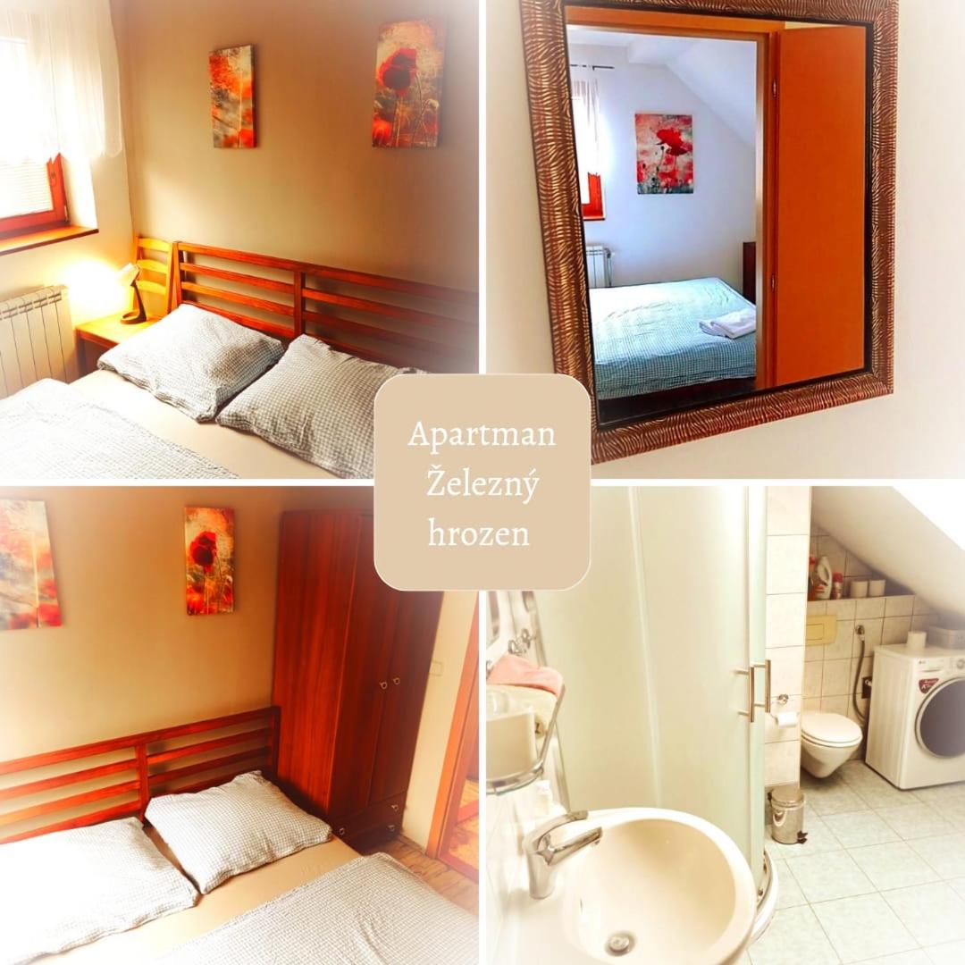 Apartmán Železný hrozen view 4