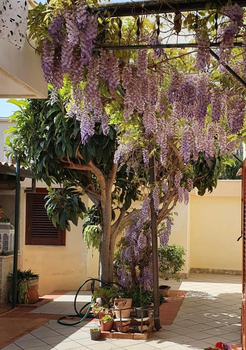 La depandance di Villa Rosa locazioni brevi