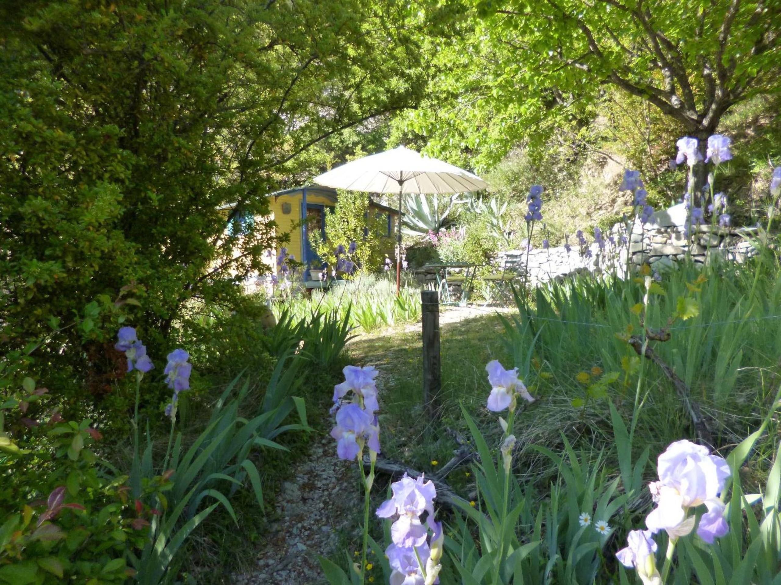 Photo 18