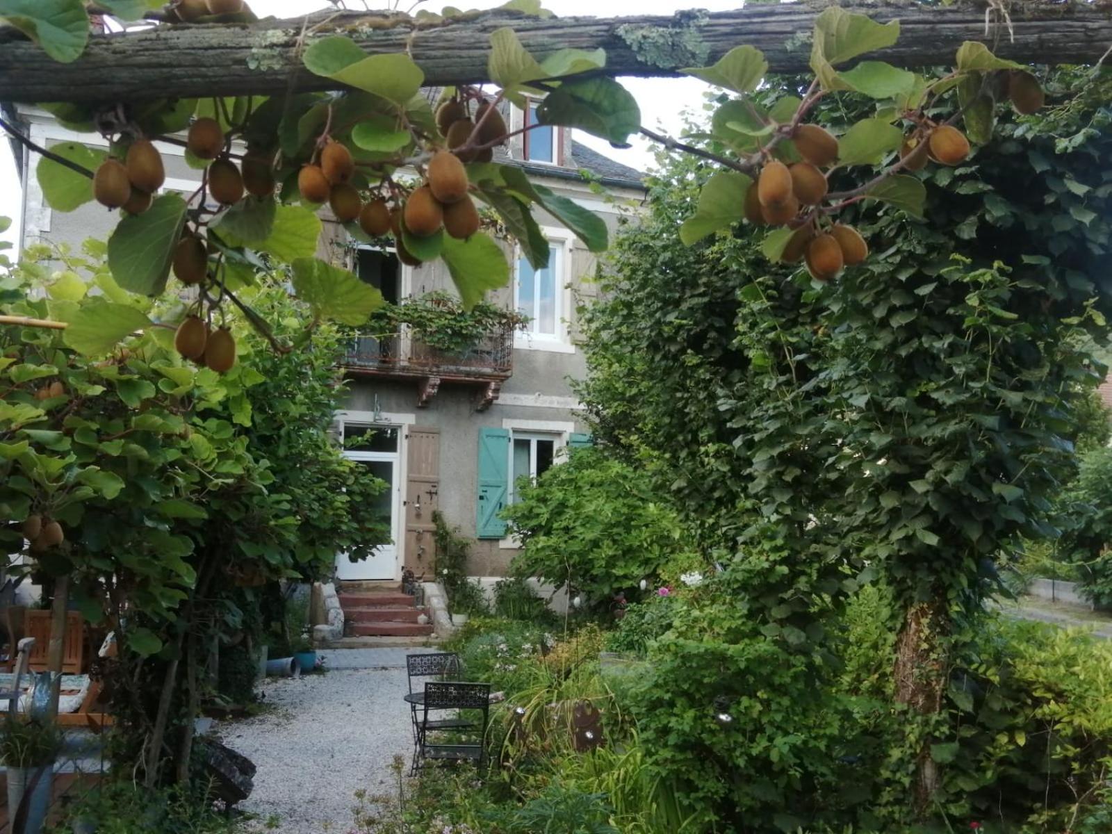 Photo 17