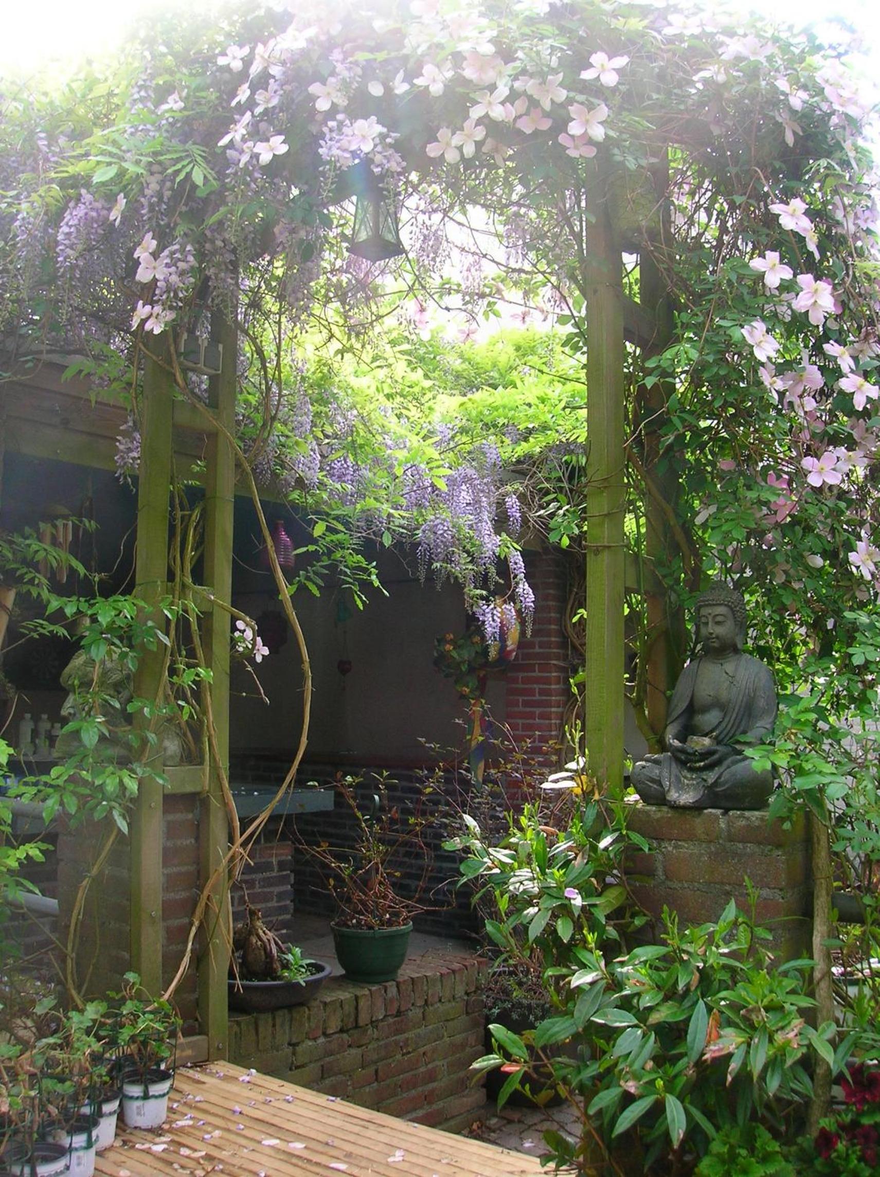 Photo 15