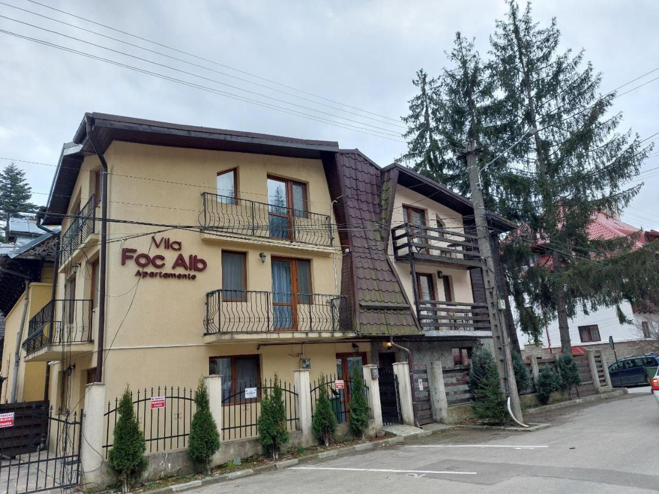 Vila Foc Alb Apartamente-Busteni view 2