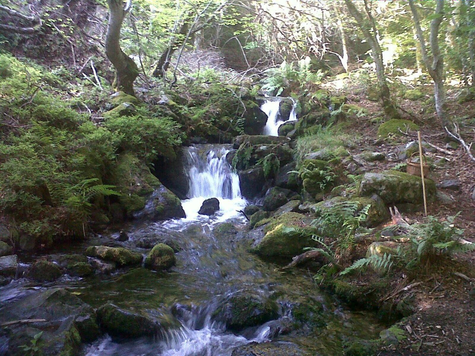 Photo 33