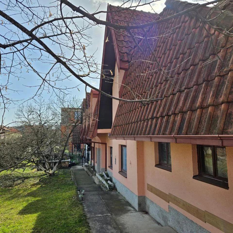 Nešić Apartment Corner view 2