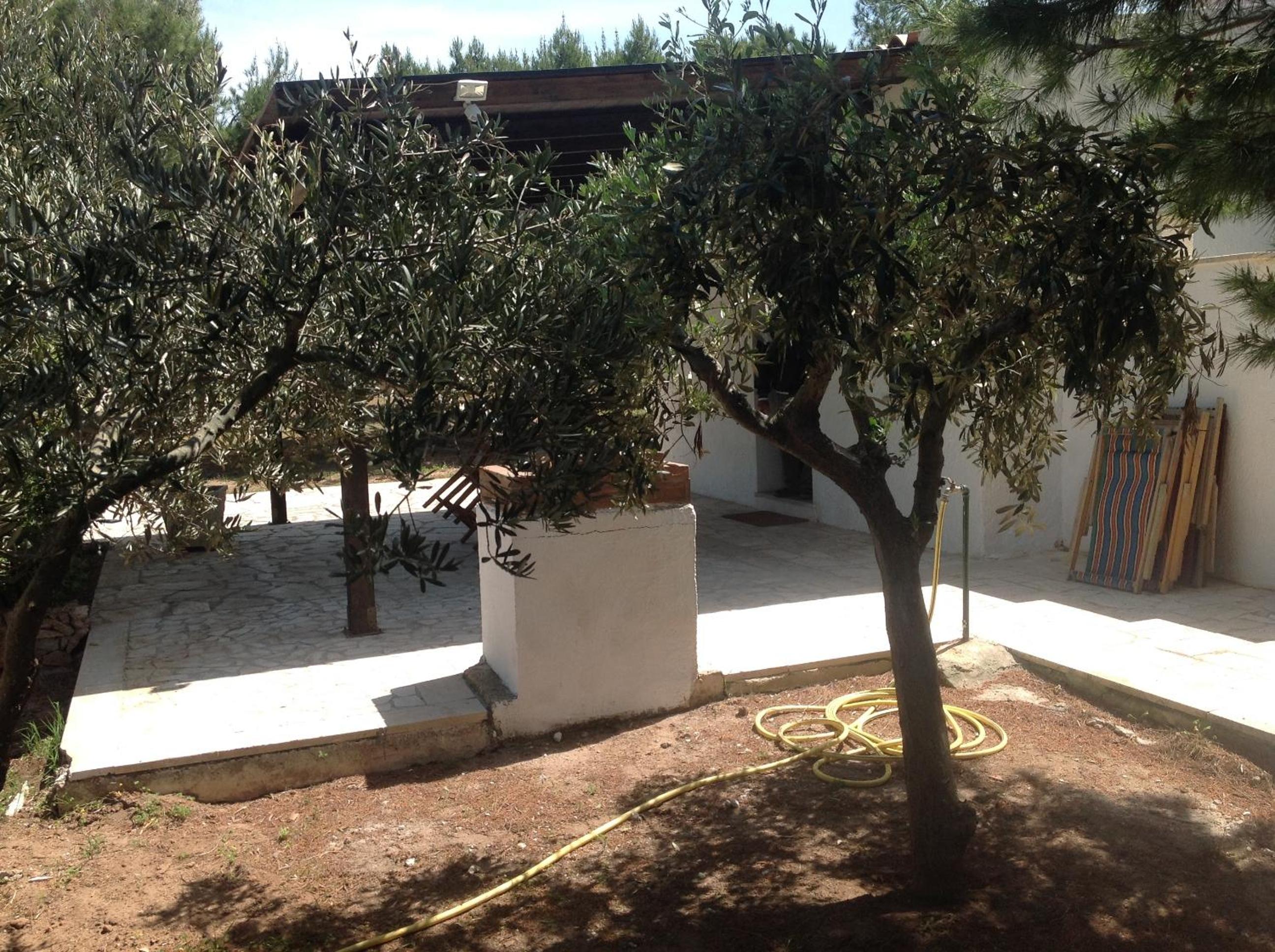 Photo 26