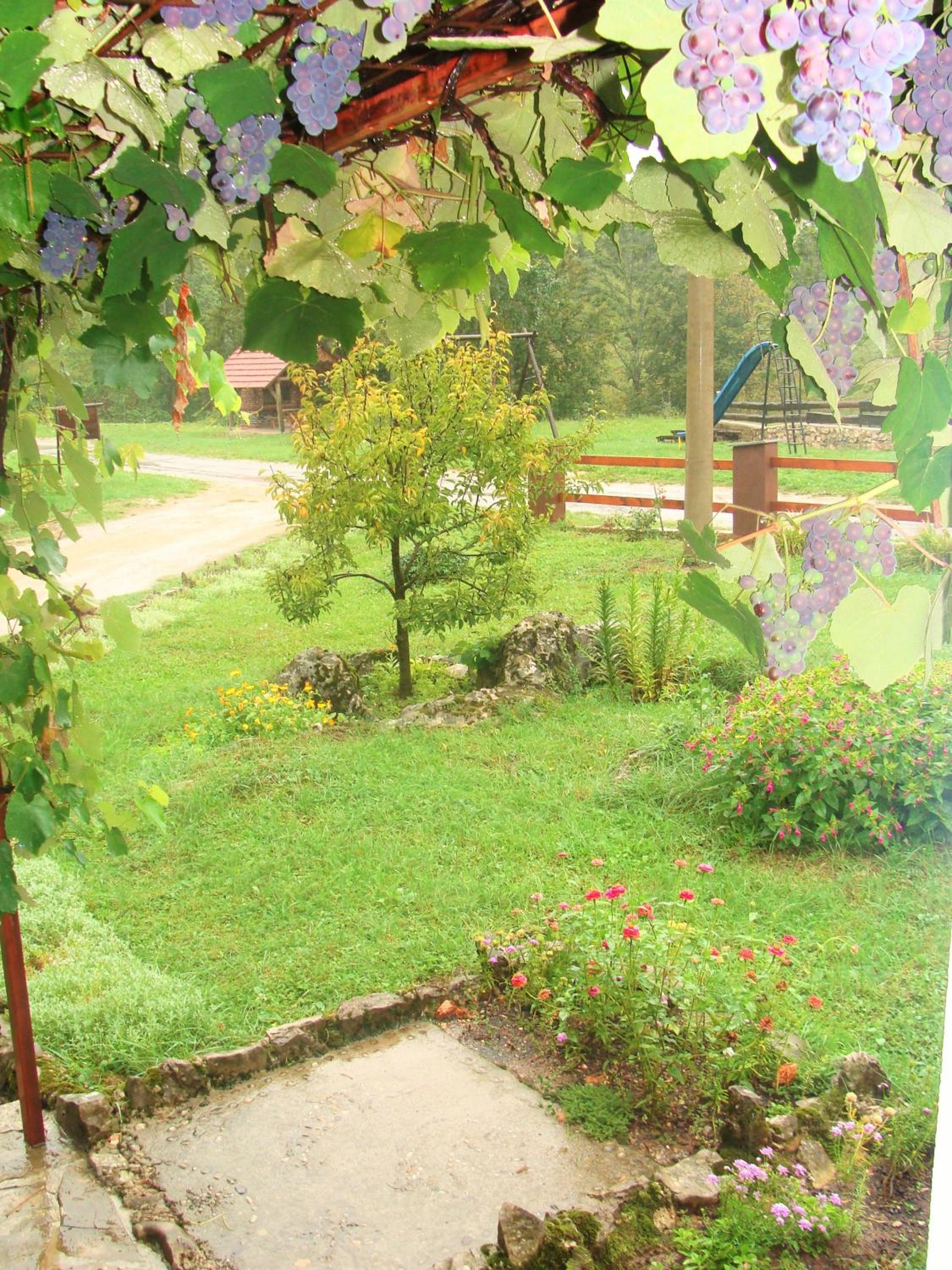 Photo 11