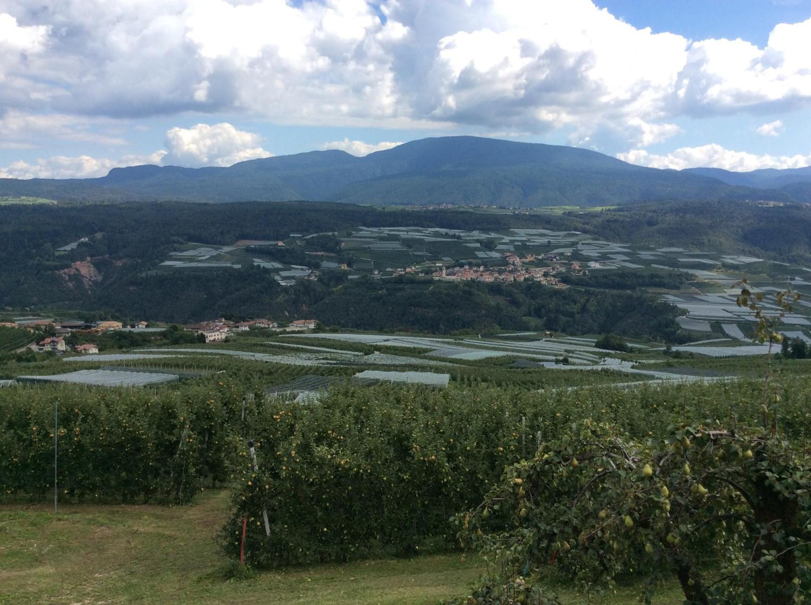 Agriturismo Maso Tafol view 3