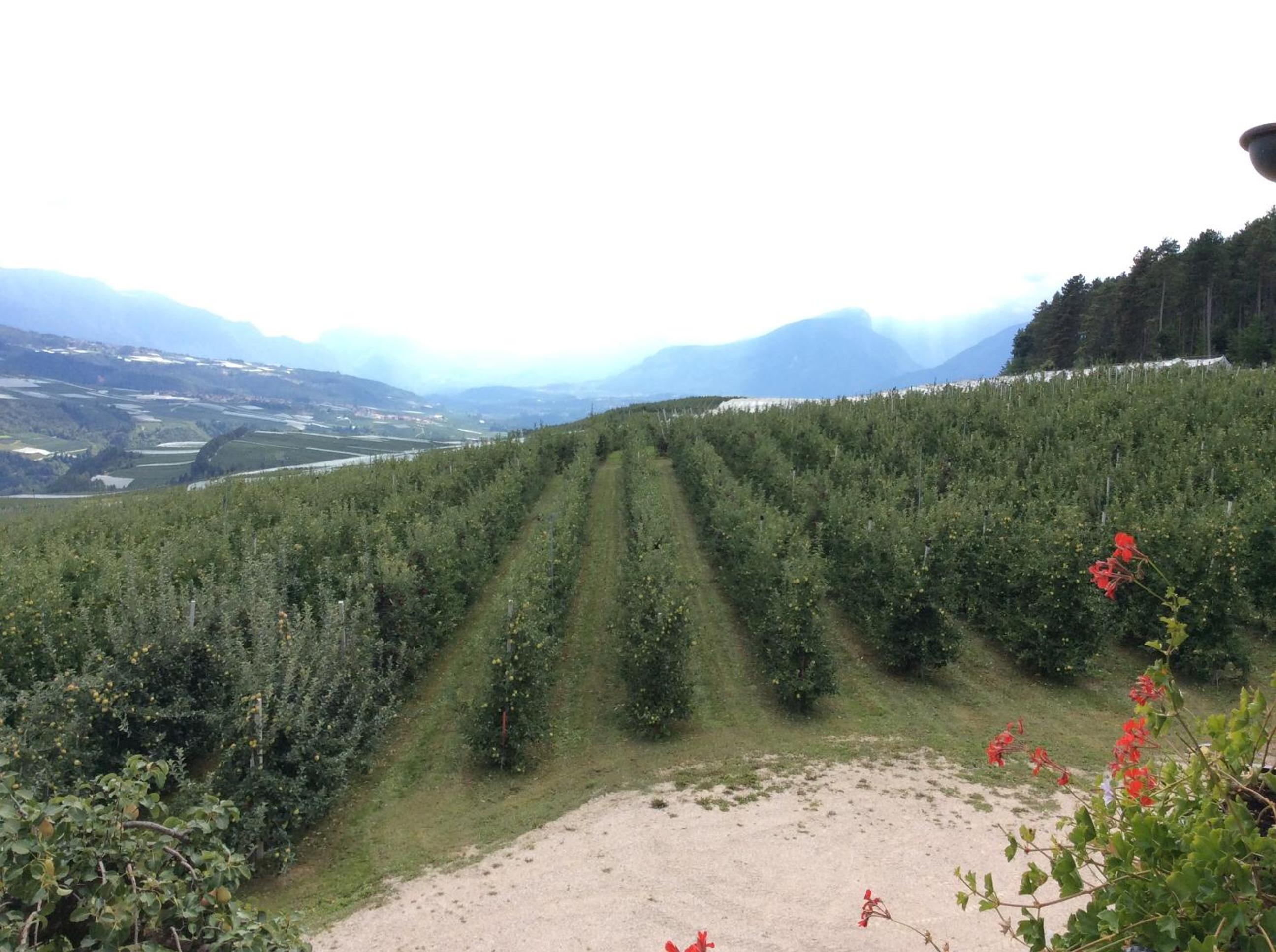 Agriturismo Maso Tafol view 4