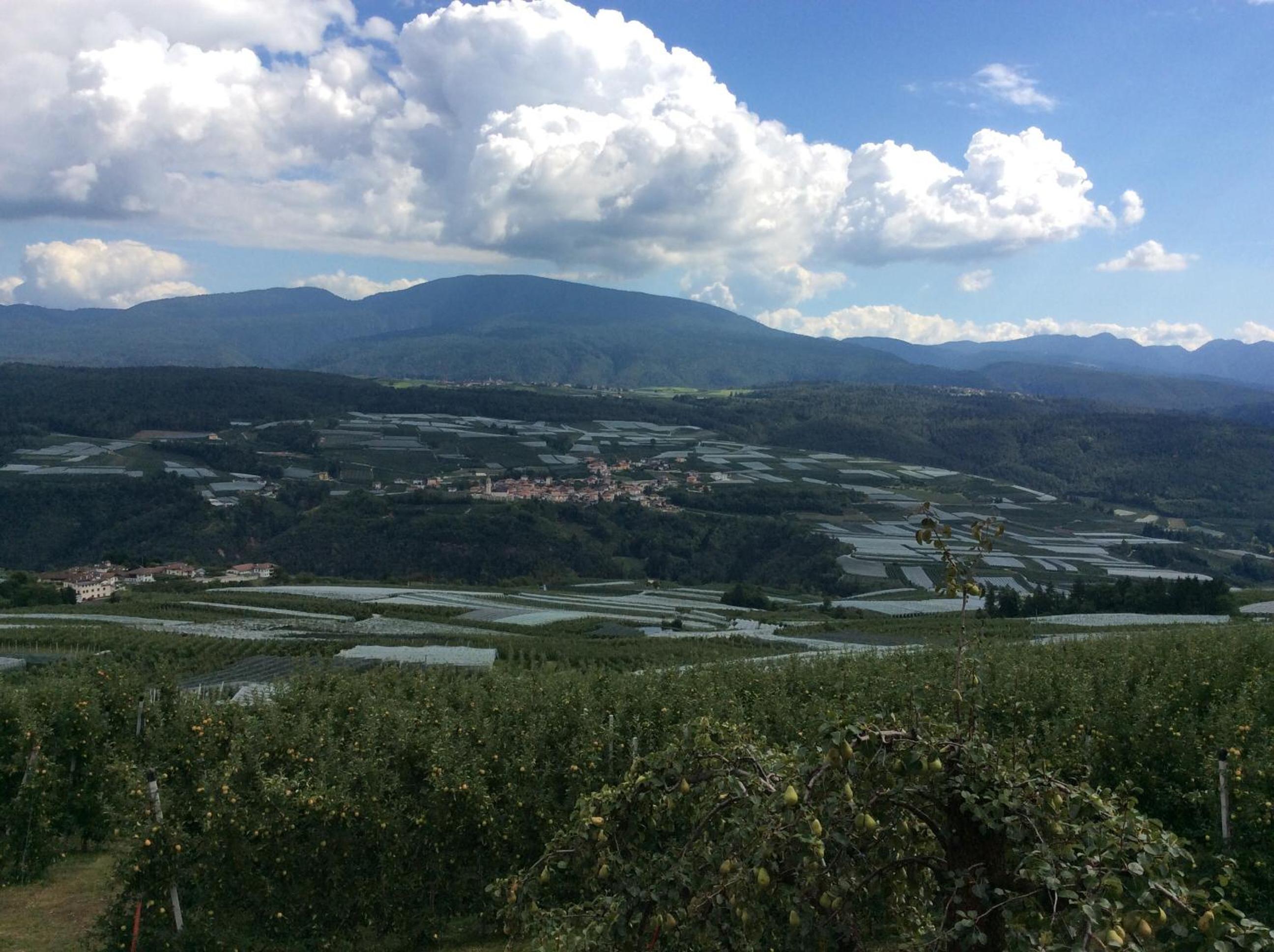 Agriturismo Maso Tafol view 5