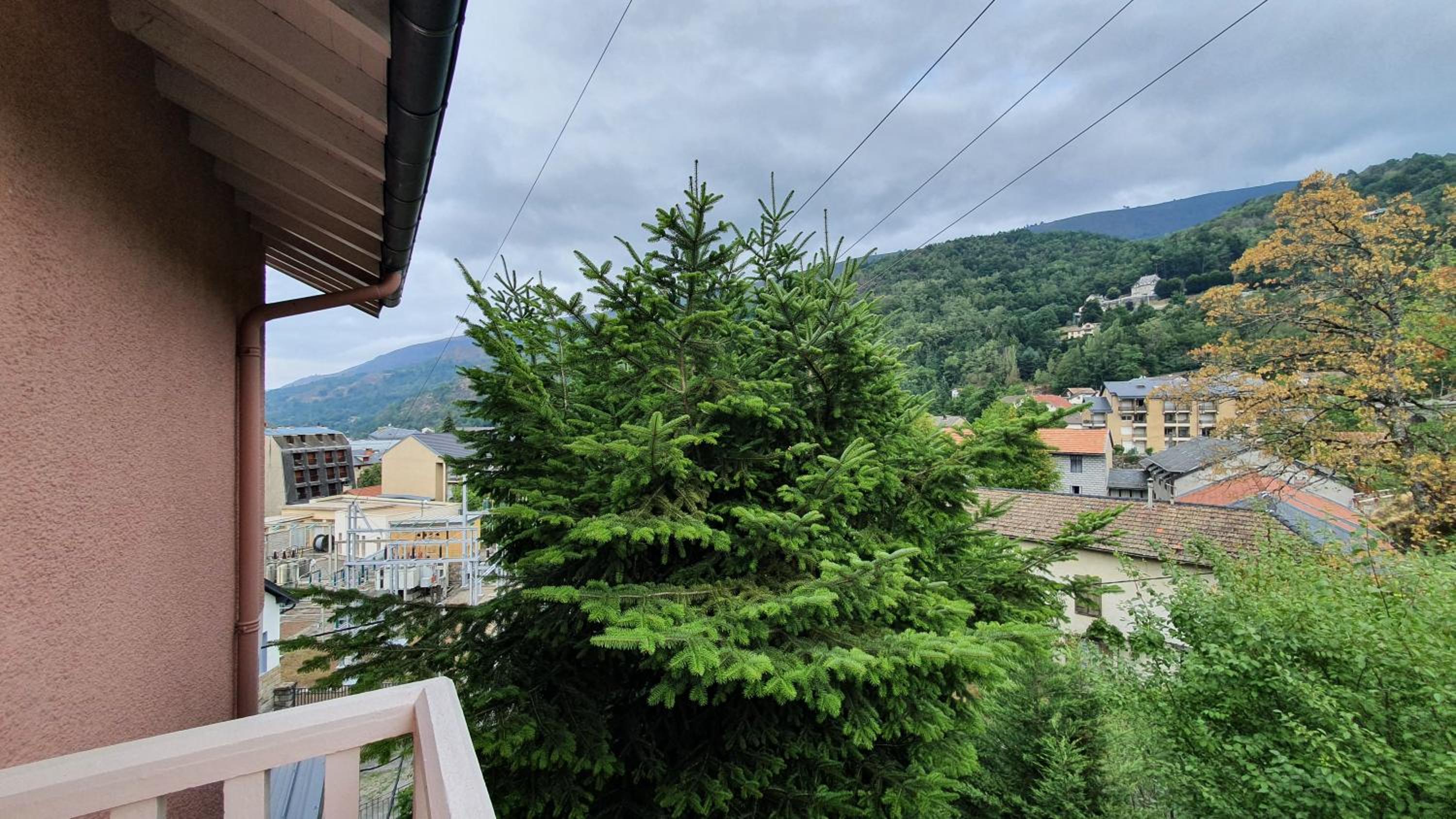 Le Grillon