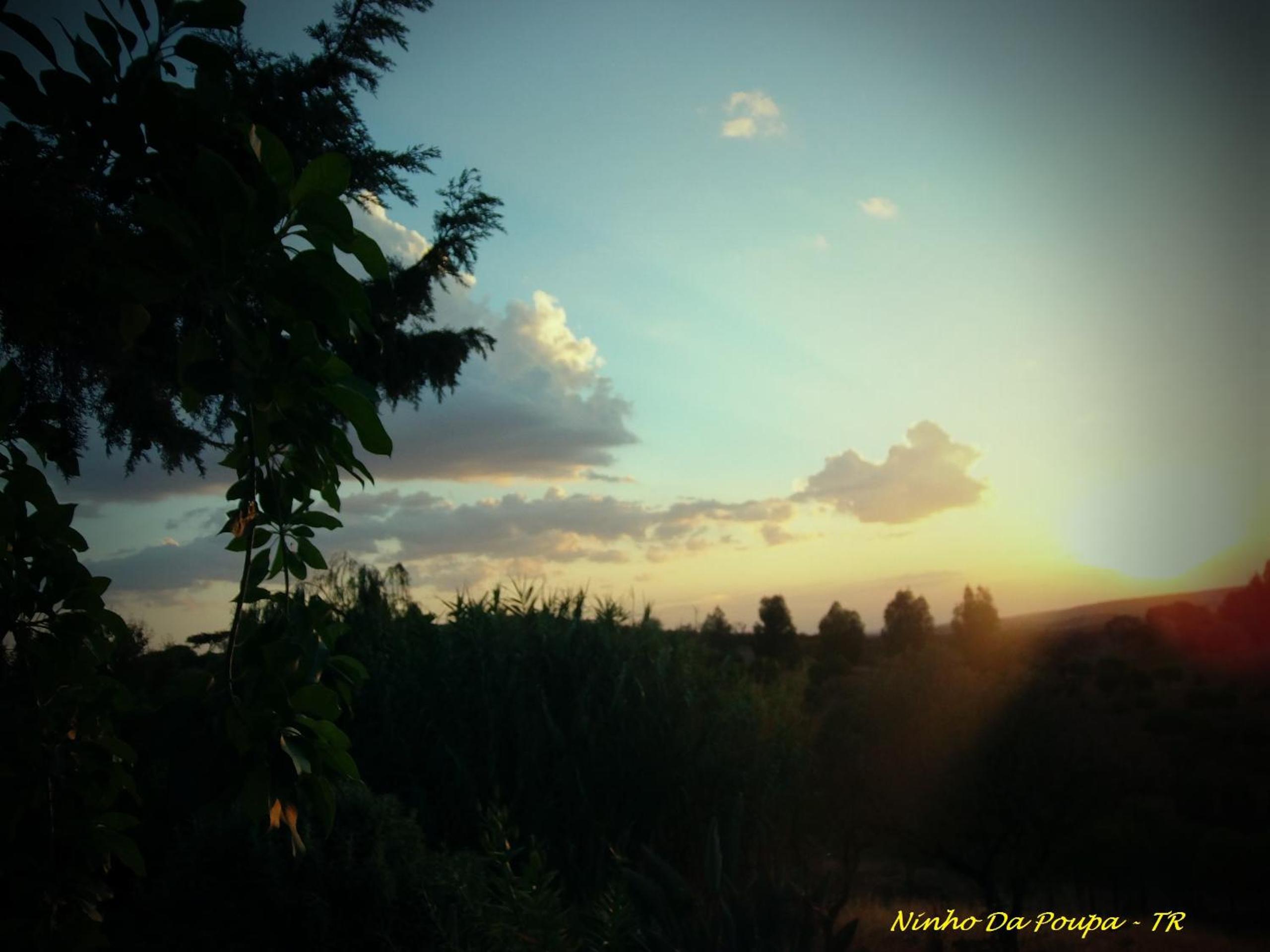 Photo 34