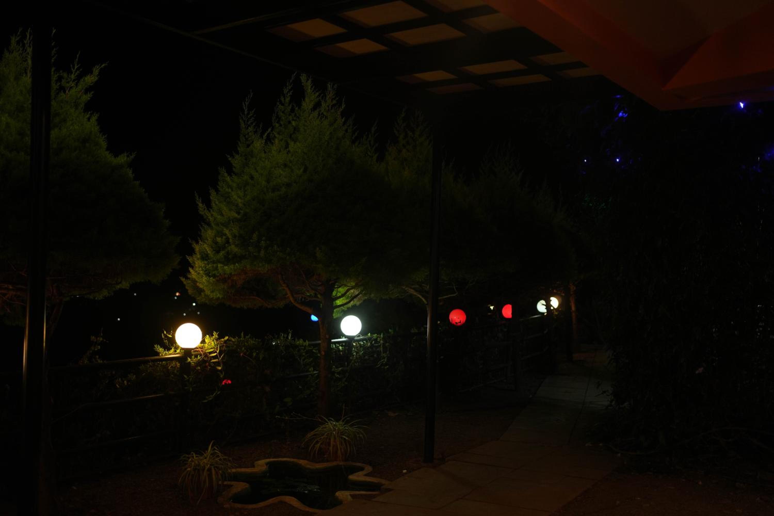 Photo 43