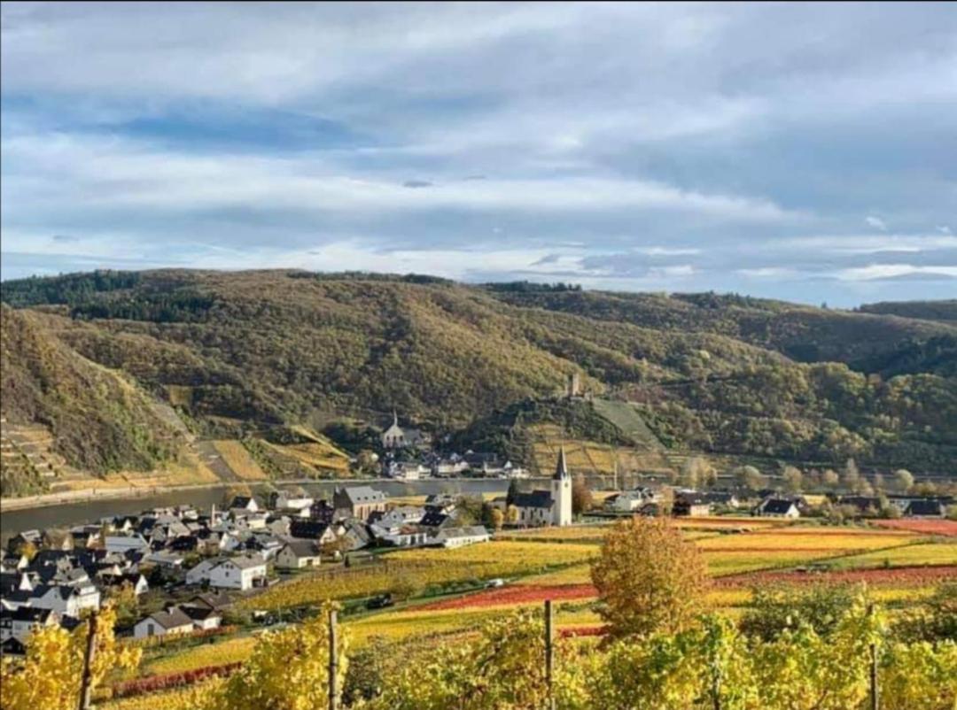 Ferienweingut Villa Hausmann