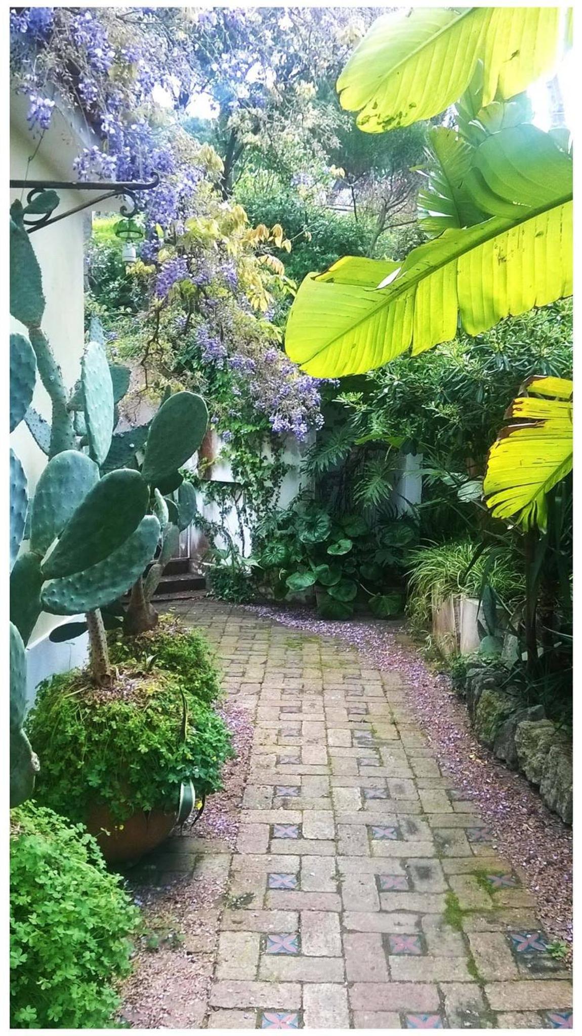 B&B La Salamandra Kitchengarden