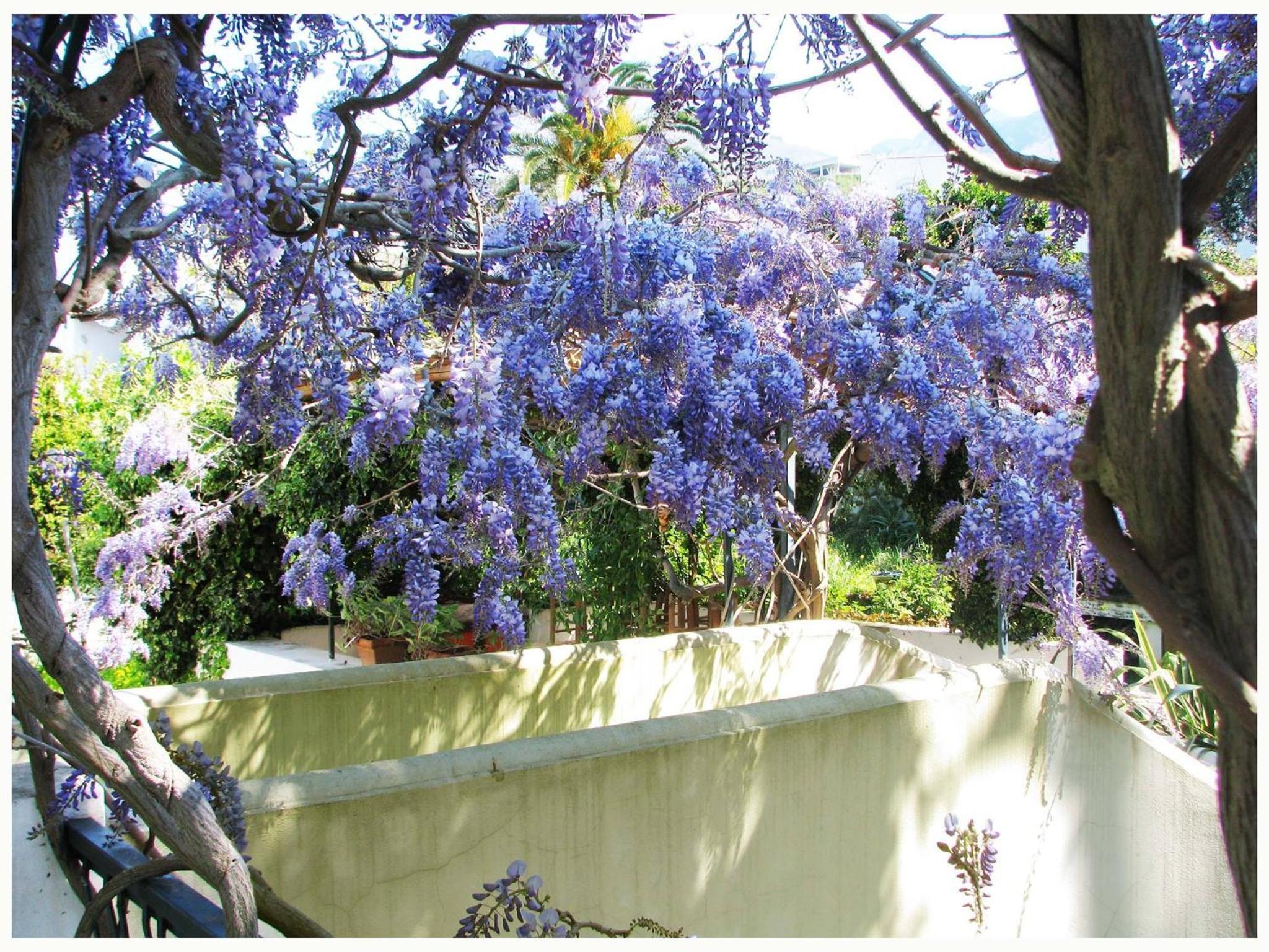 B&B La Salamandra Kitchengarden