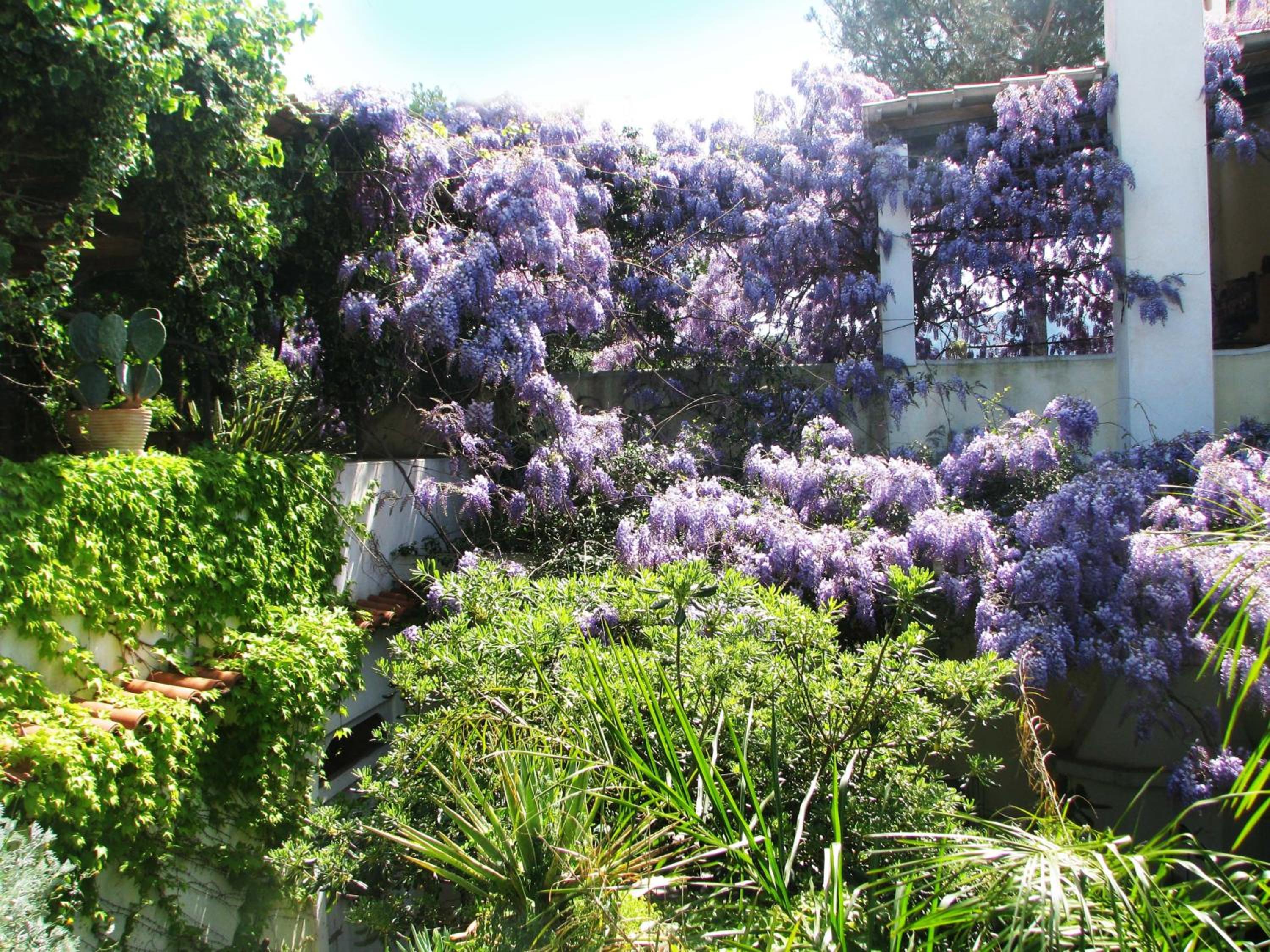 B&B La Salamandra Kitchengarden