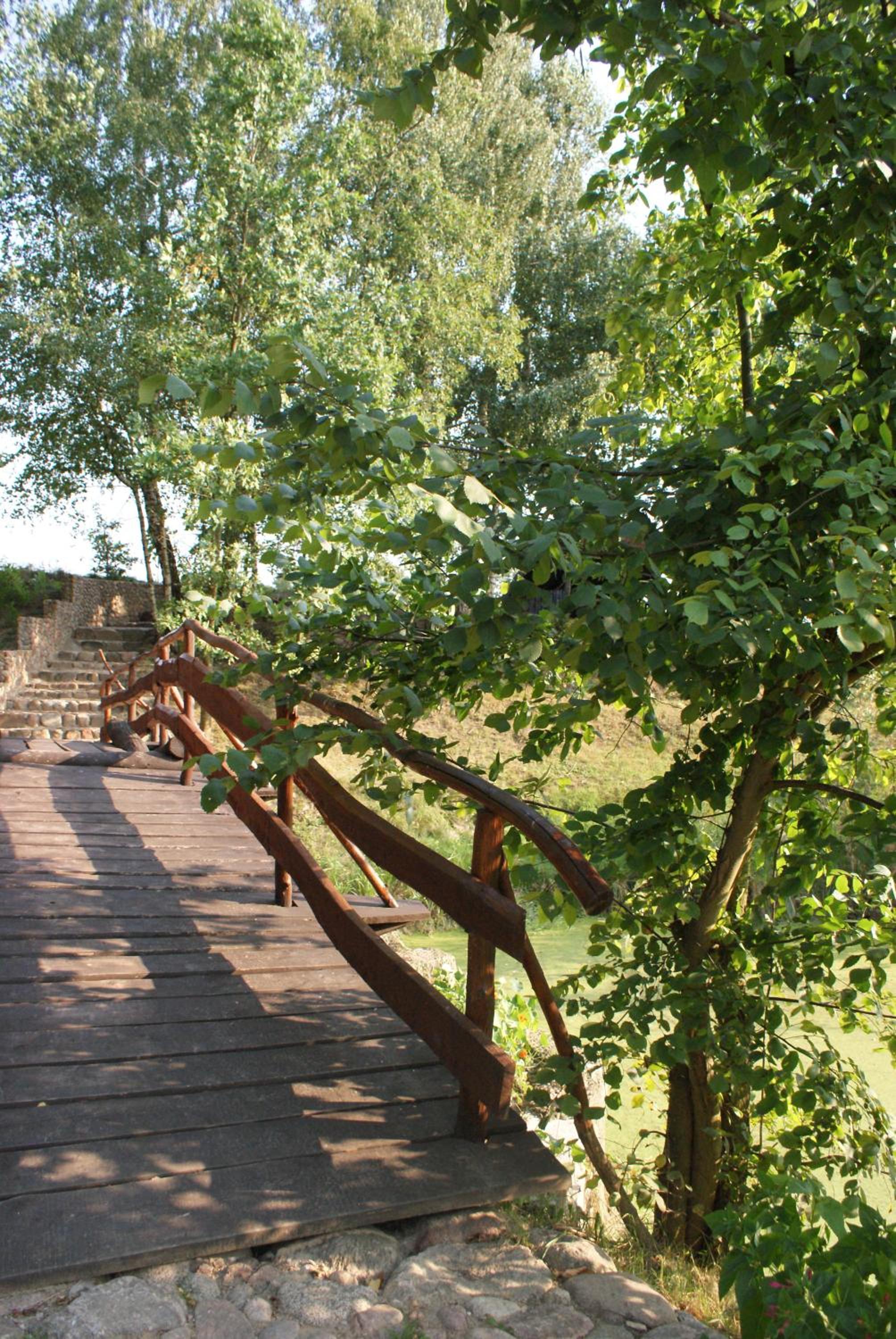 Photo 21