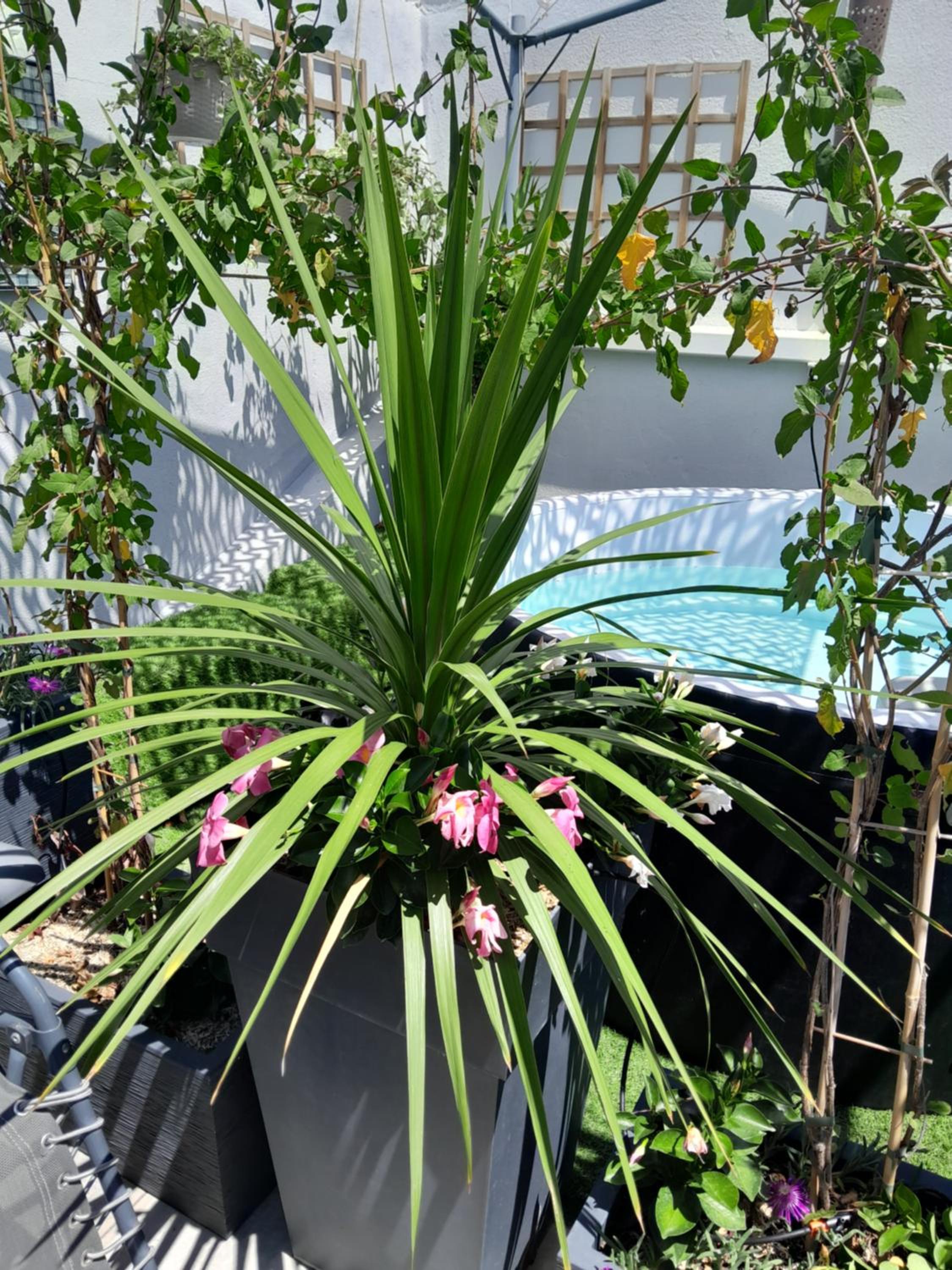 Photo 41