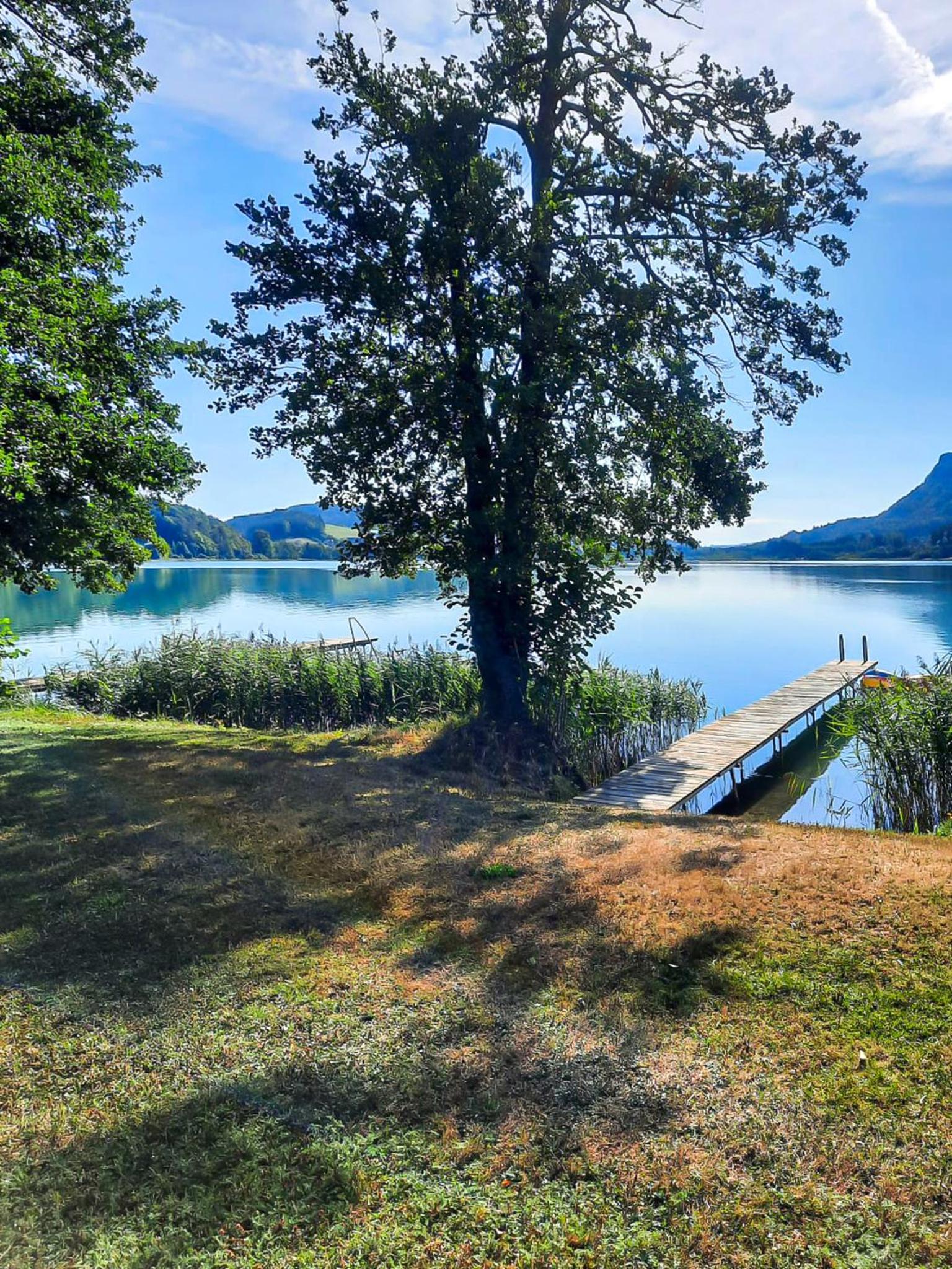 Ferienwohnungen am See Haus Spitzer view 2