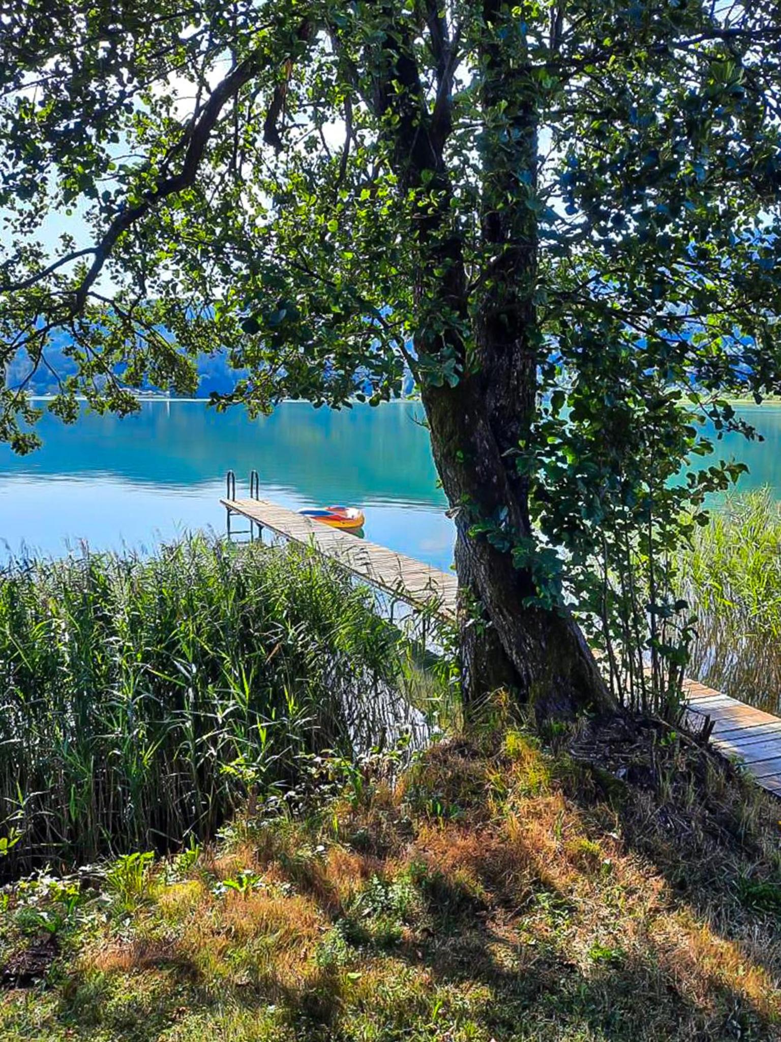 Ferienwohnungen am See Haus Spitzer view 4