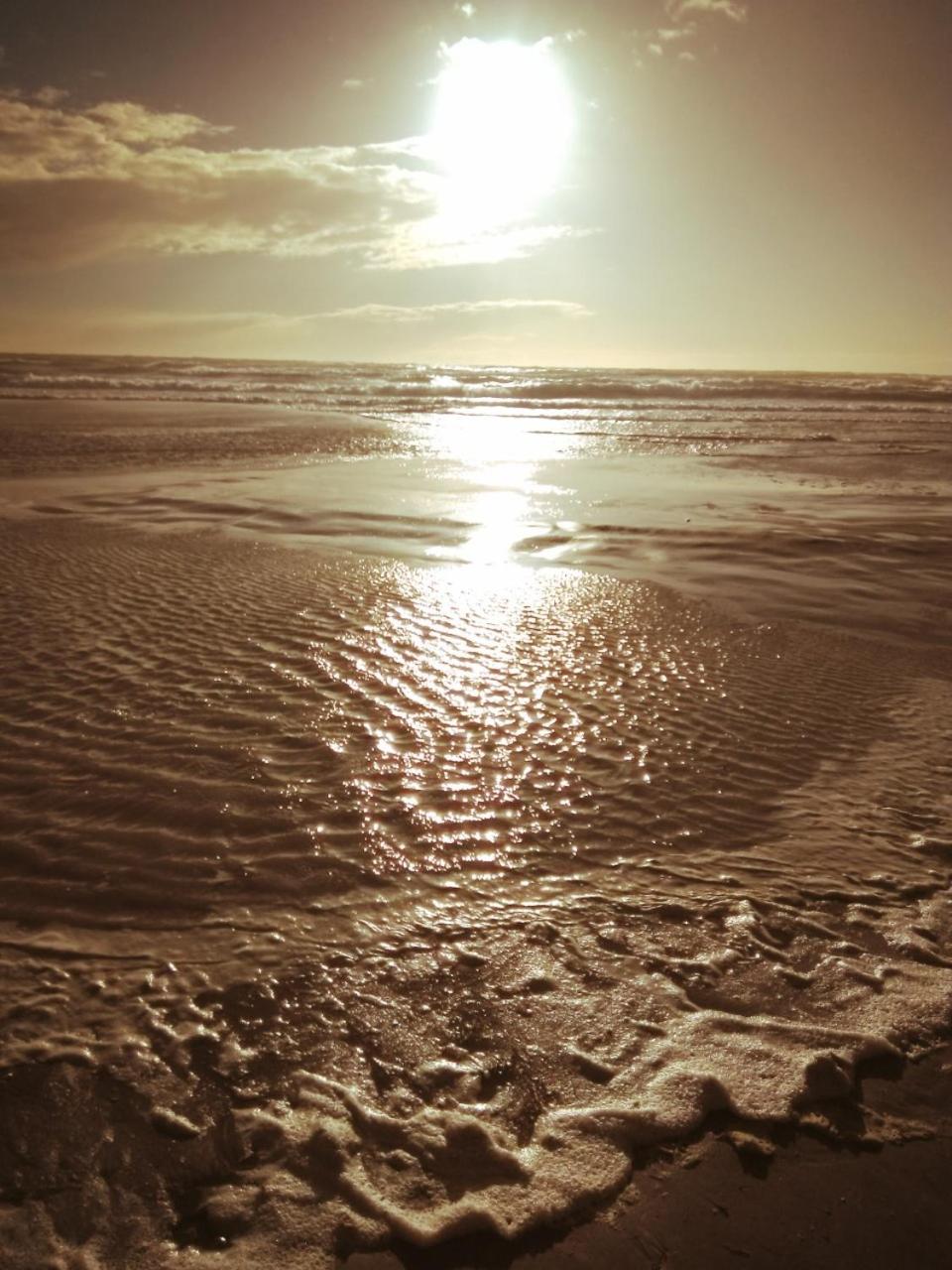 Photo 50