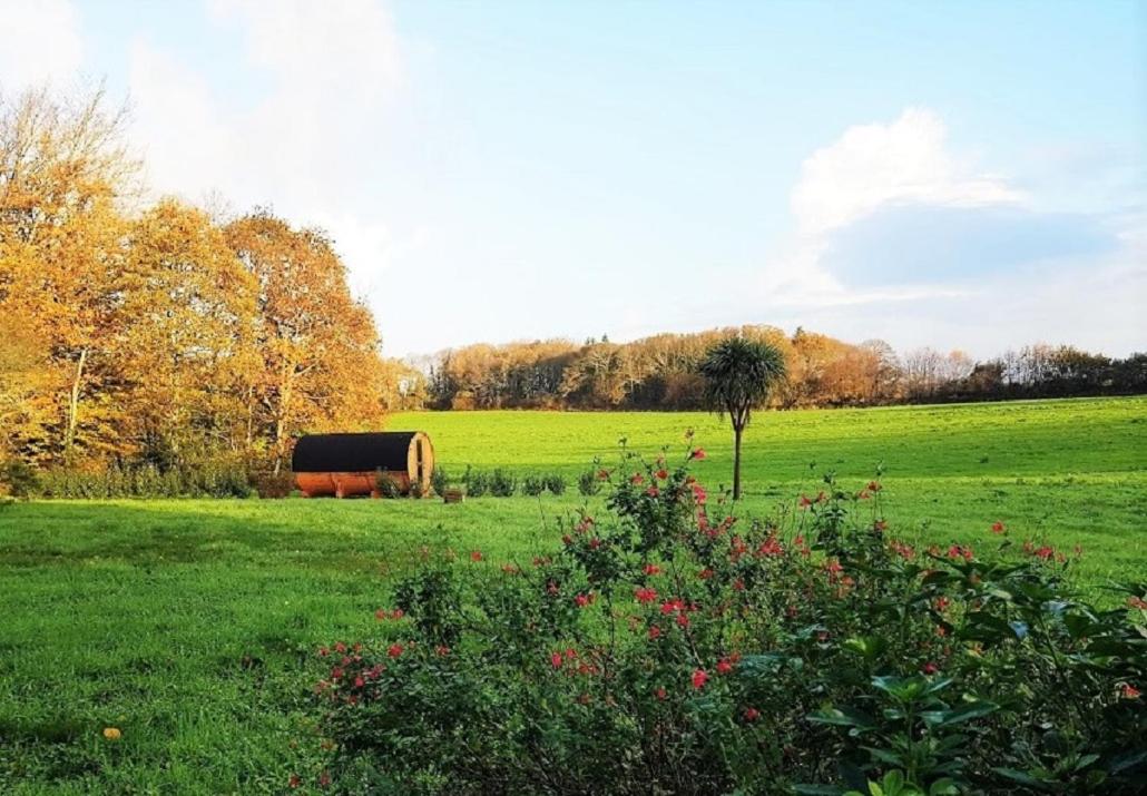 Le Domaine de Kerampape, gîte accessible, vignoble en Finistère sud